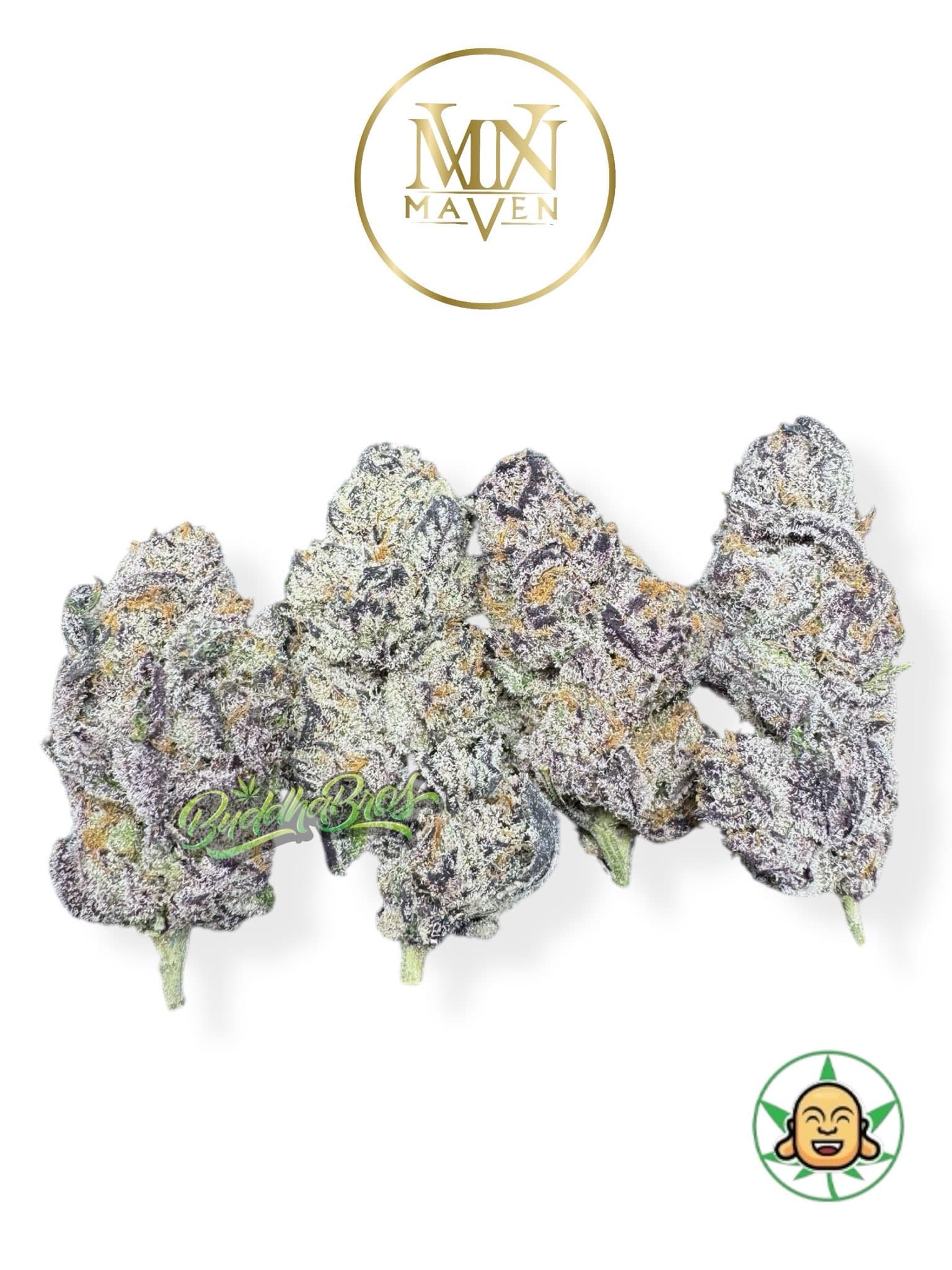 98 Reserve By Maven Genetics