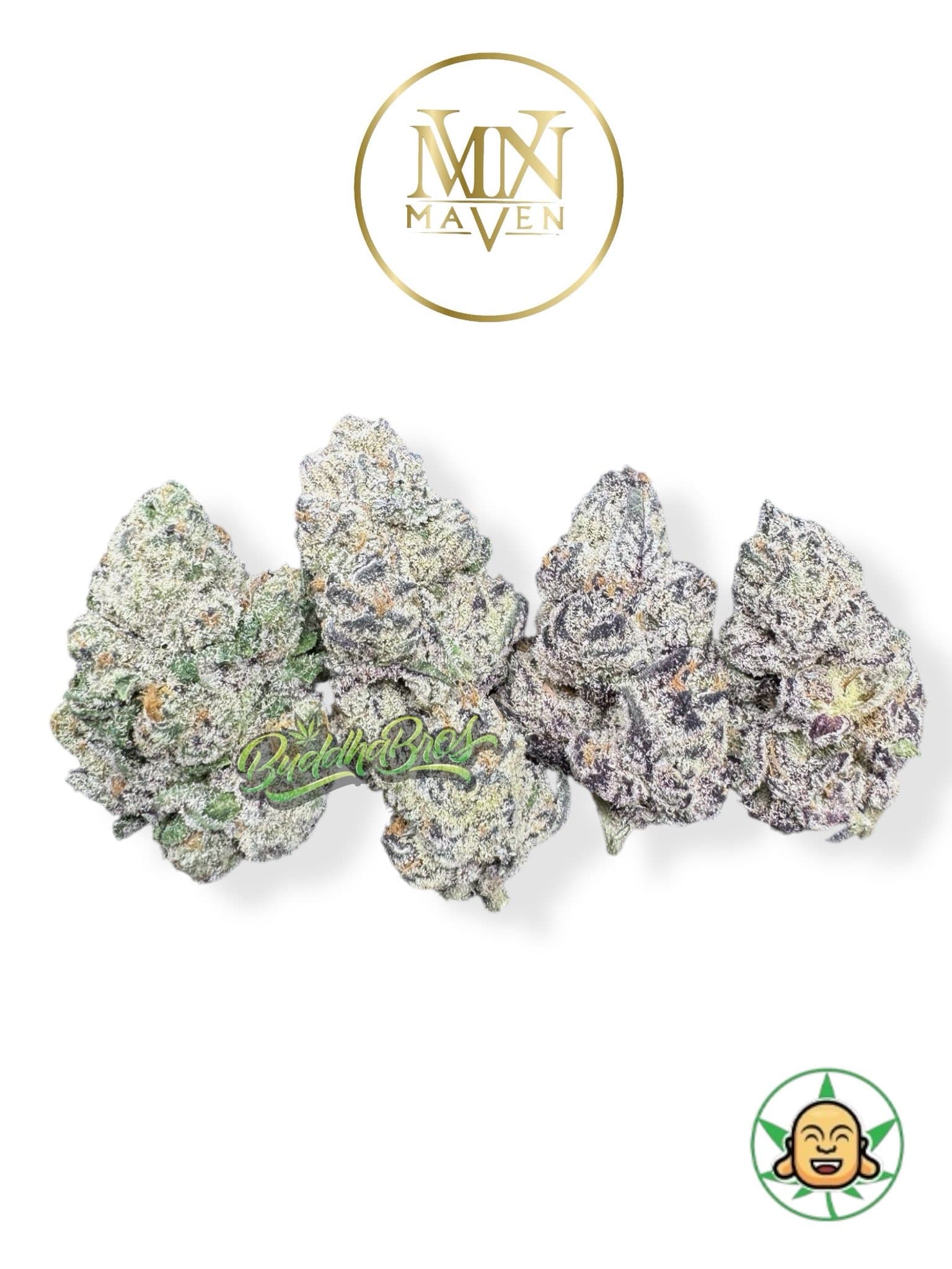 Gold Dust By Maven Genetics
