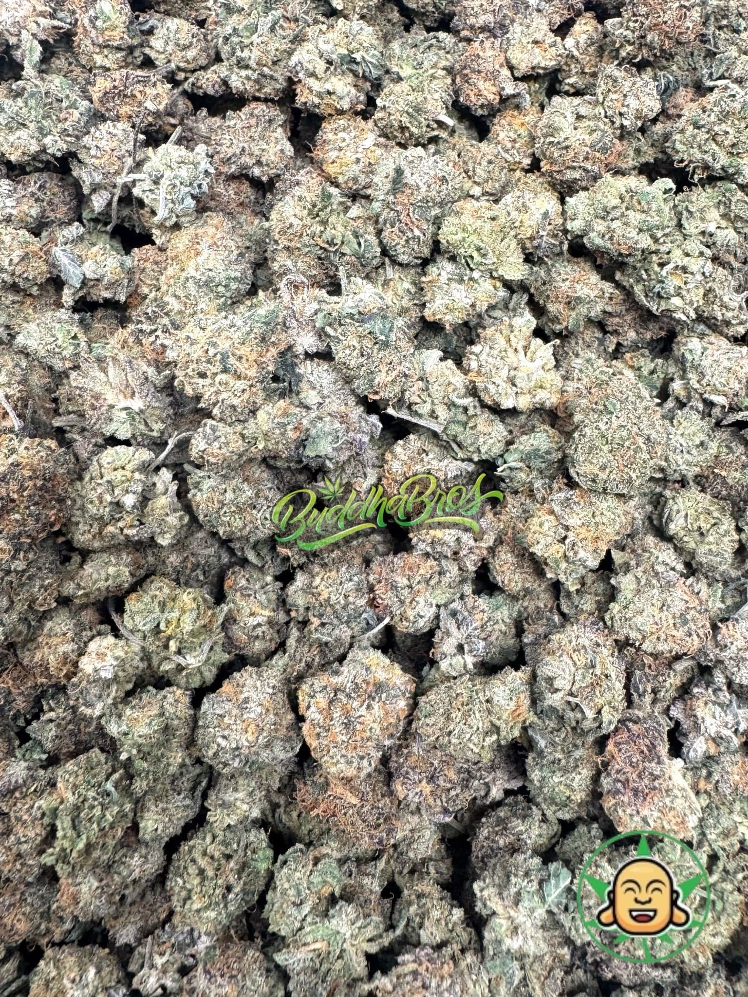 Gelato 33 (Smalls)