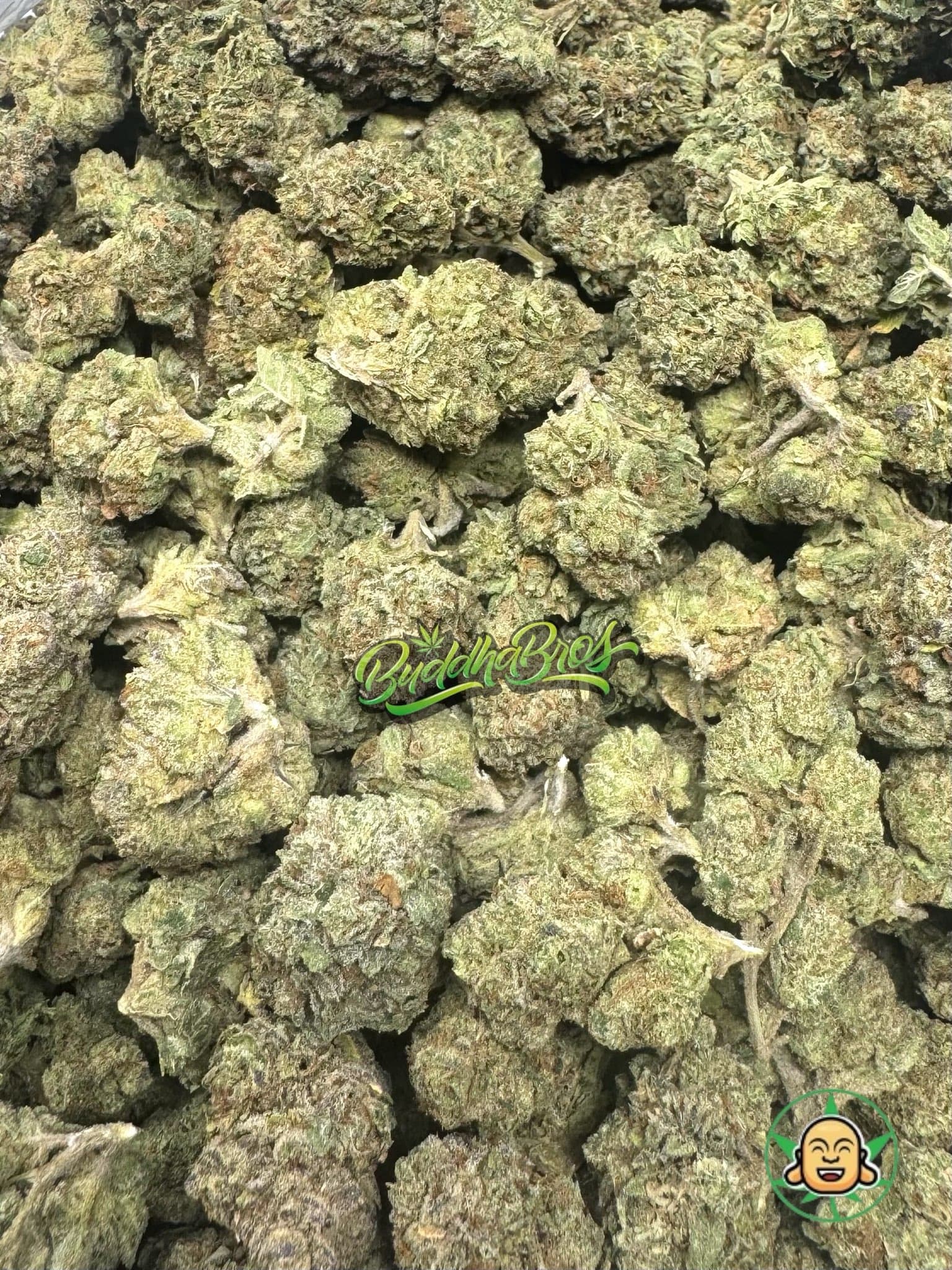 Kushmintz Mediums