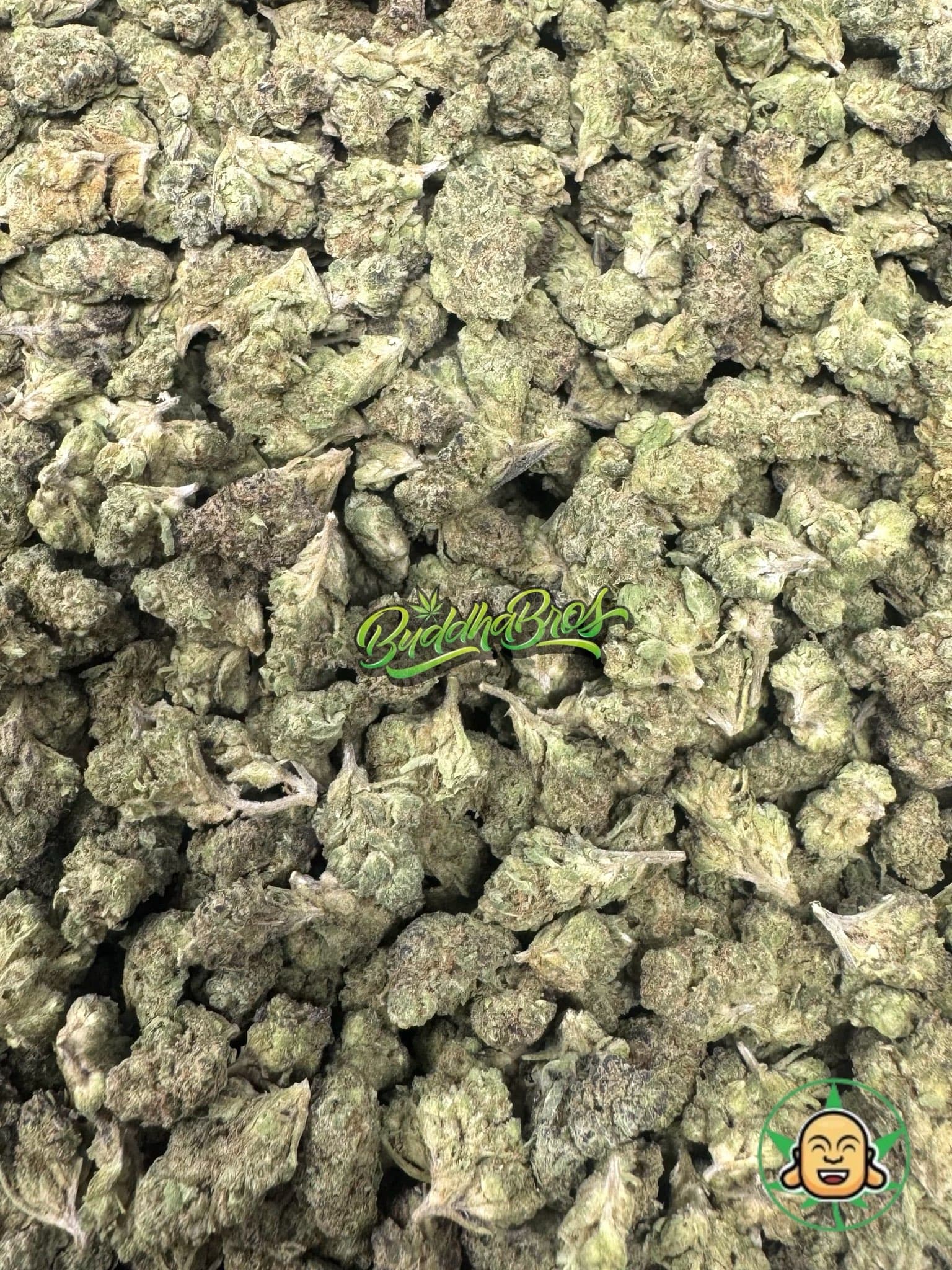 Frosted Gelato Smalls