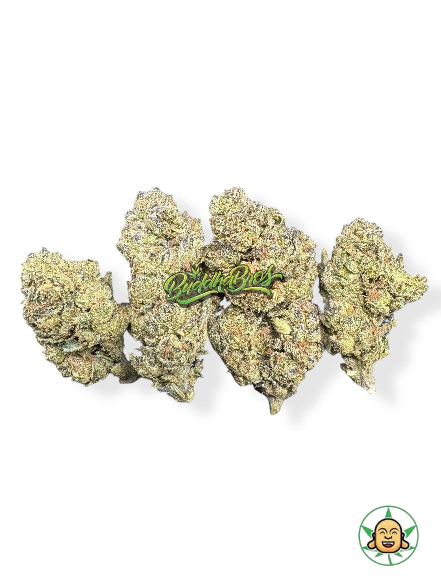 Candy Gelato