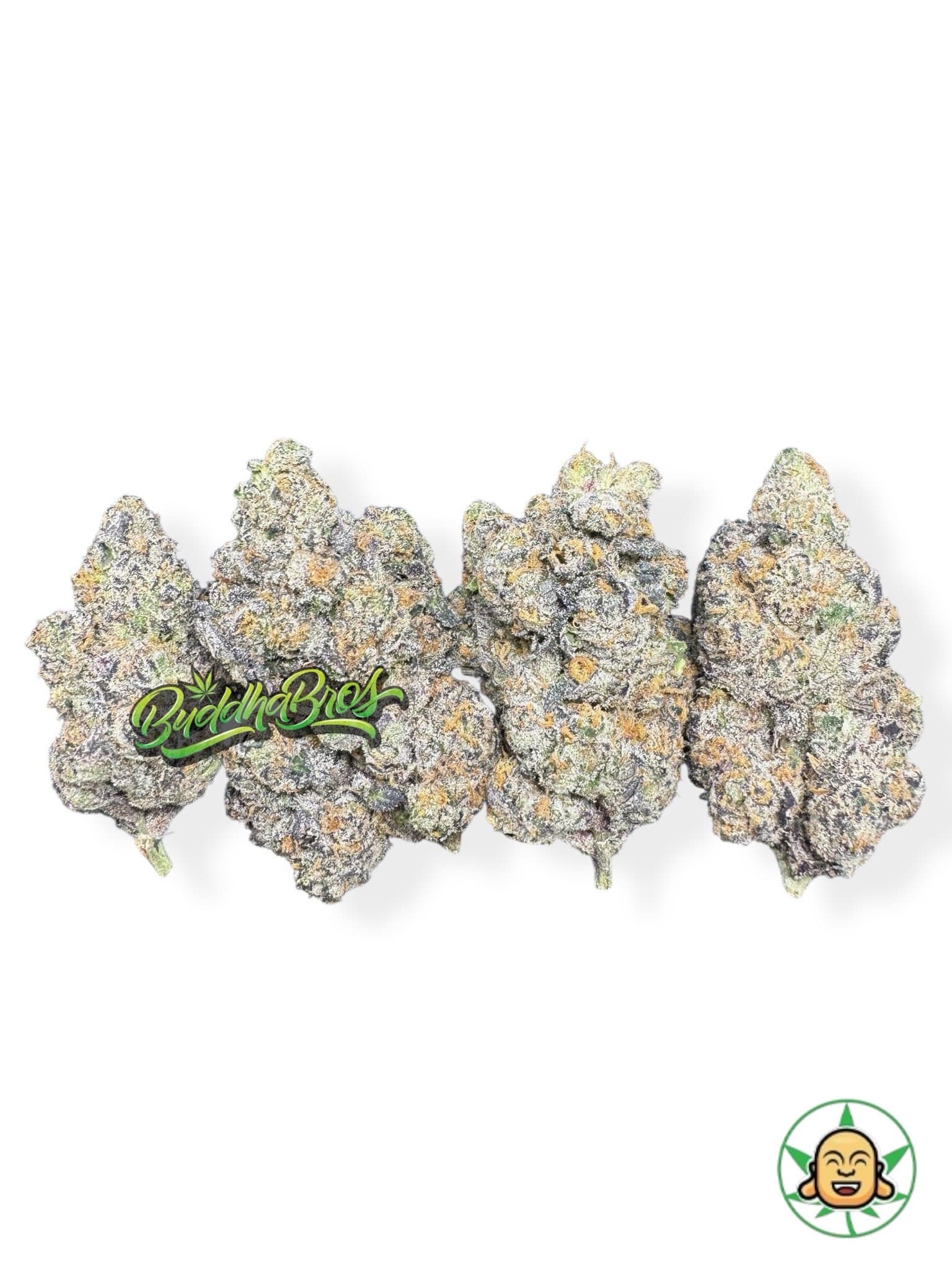 Blue Agape By Maven Genetics