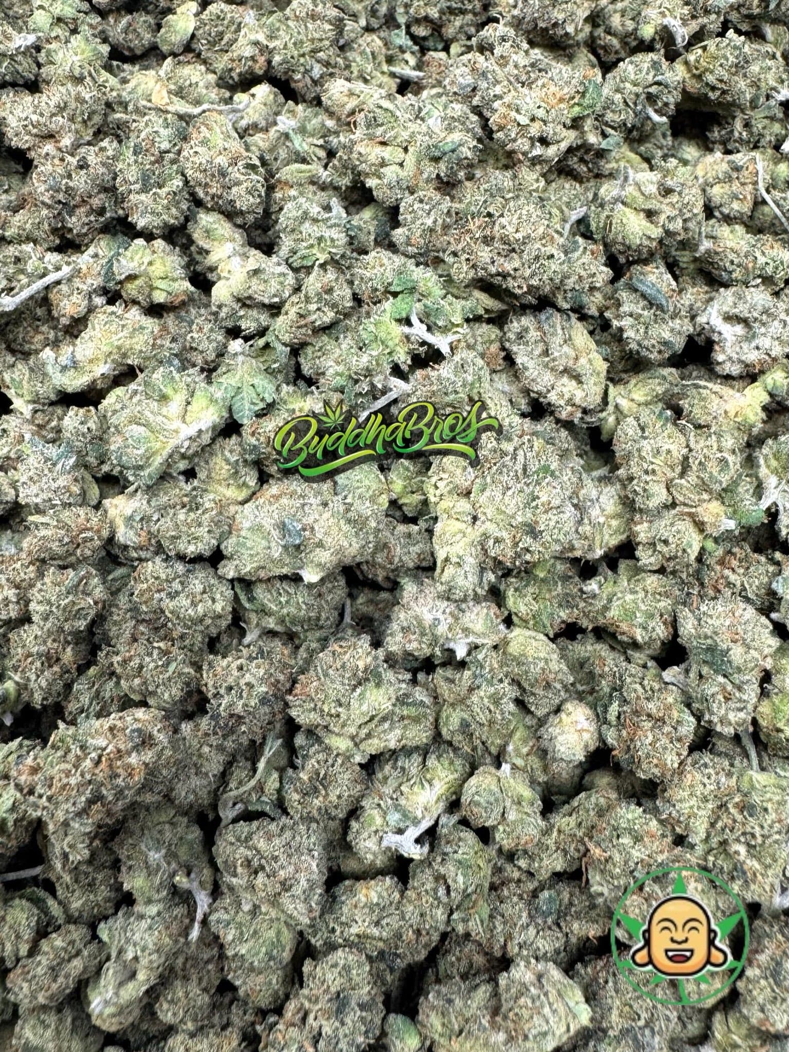 Skywalker OG Smalls