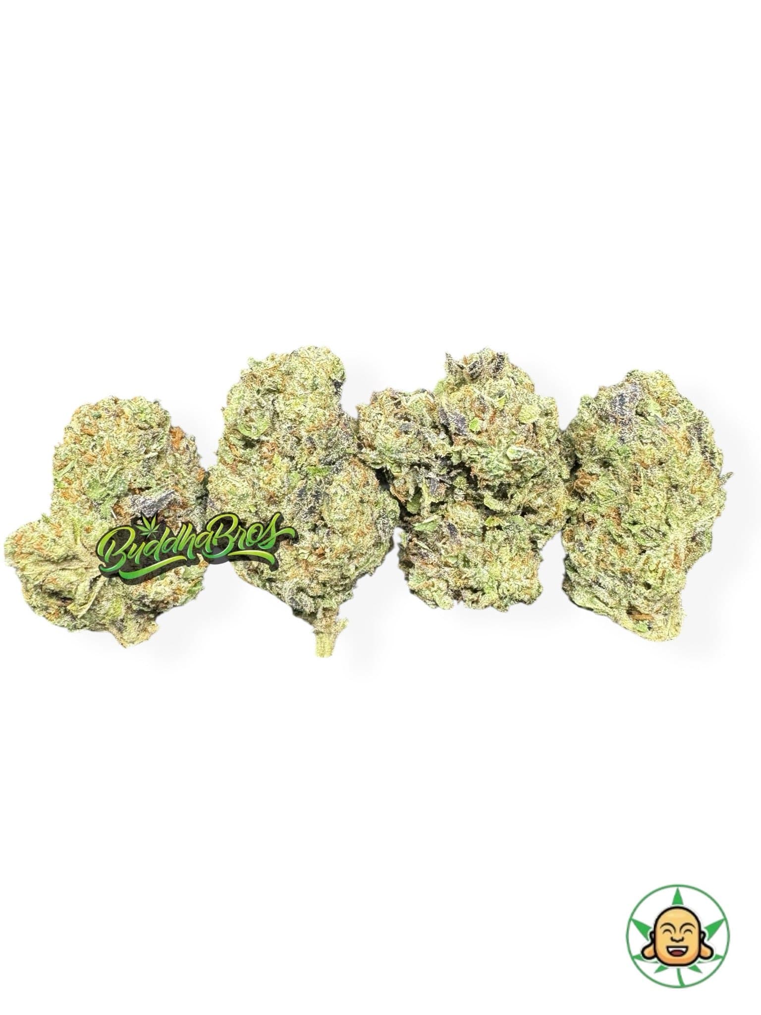 Rainbow Kush