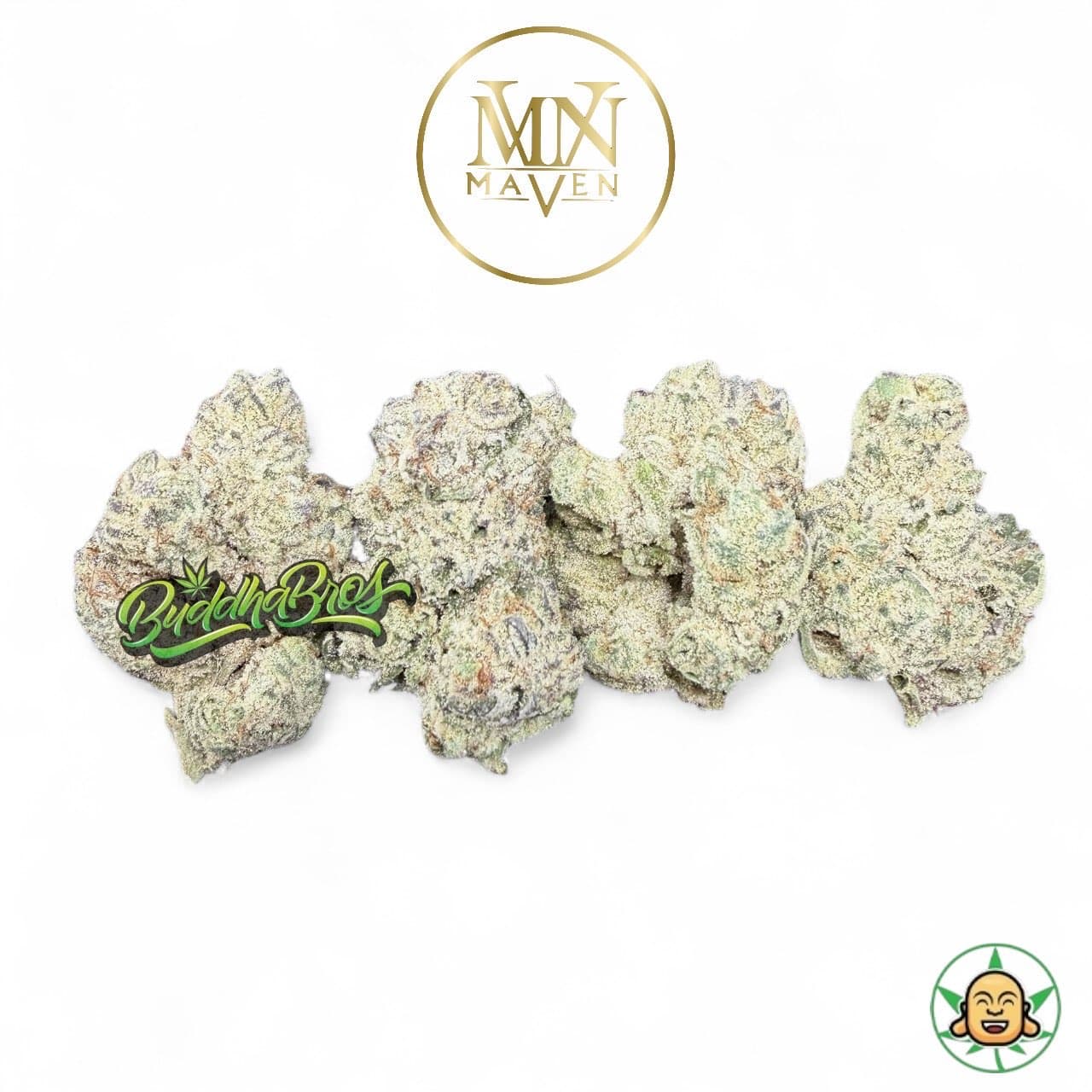 Singapore Sling By Maven Genetics