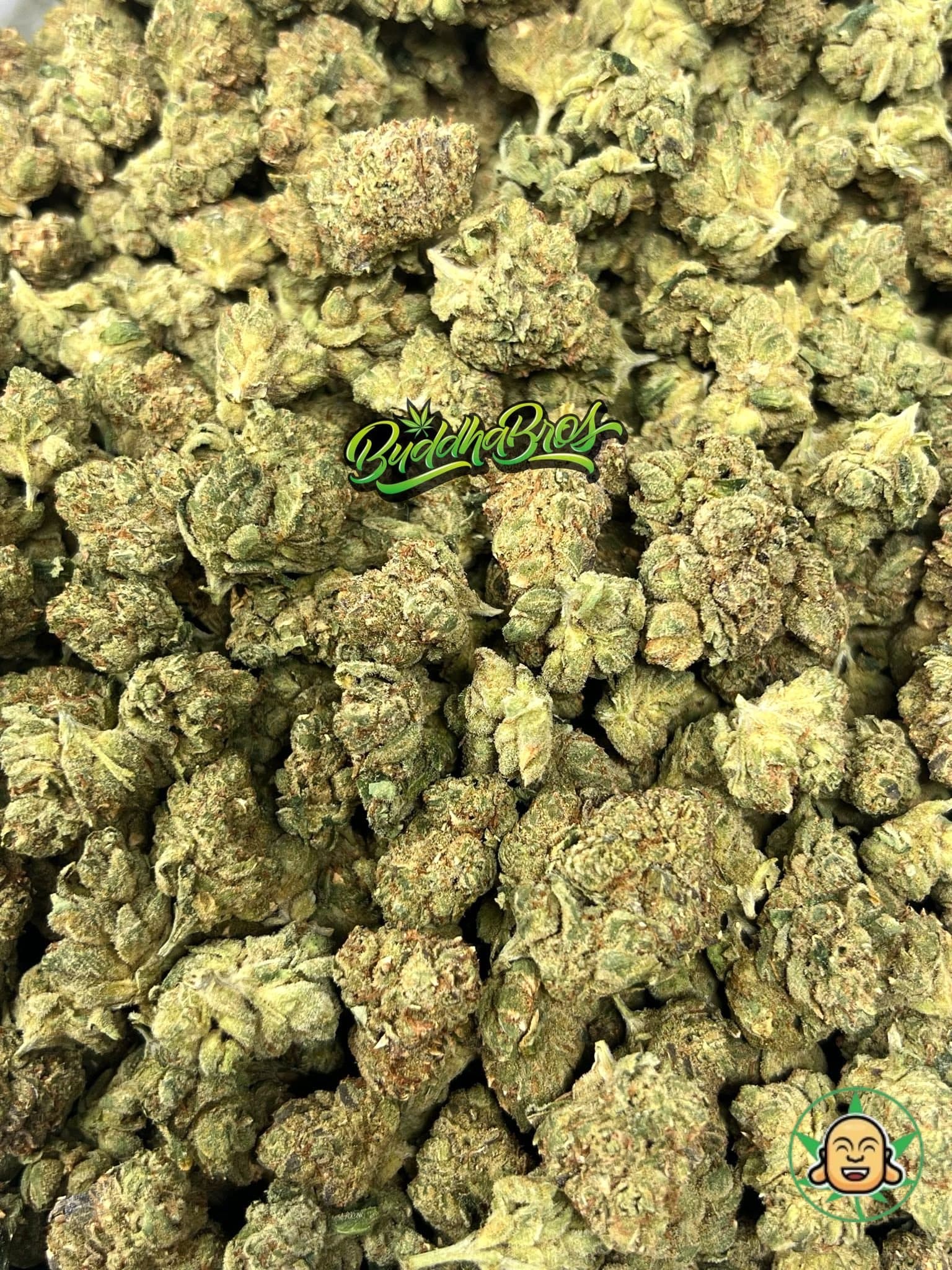 Malibu Pure Kush Smalls