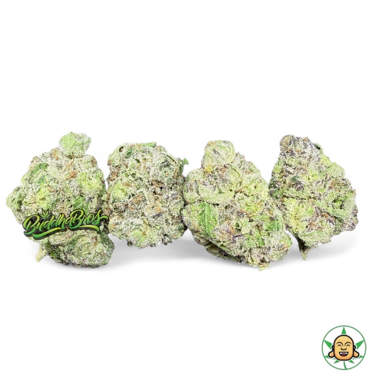 White Cherry Gelato