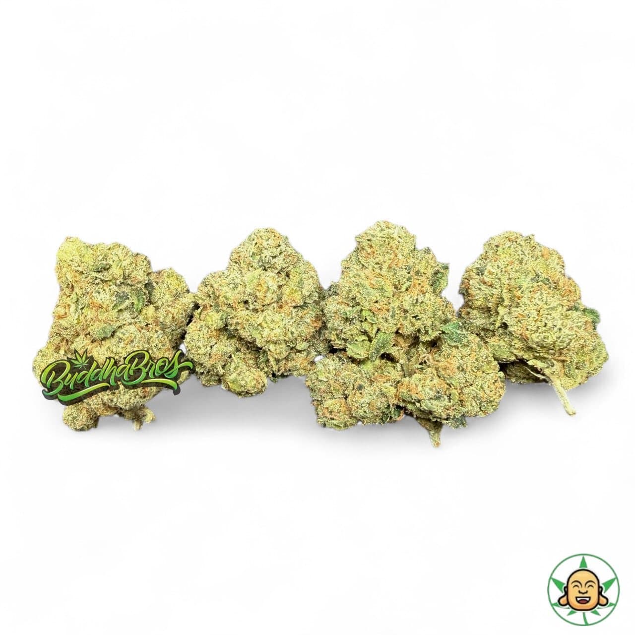 Amnesia OG