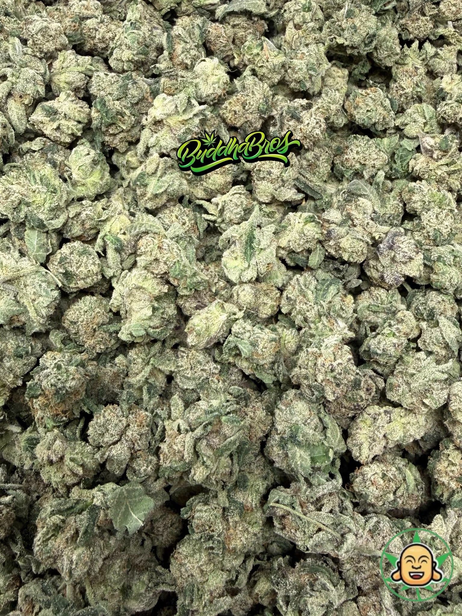 Candy Bomb Smalls