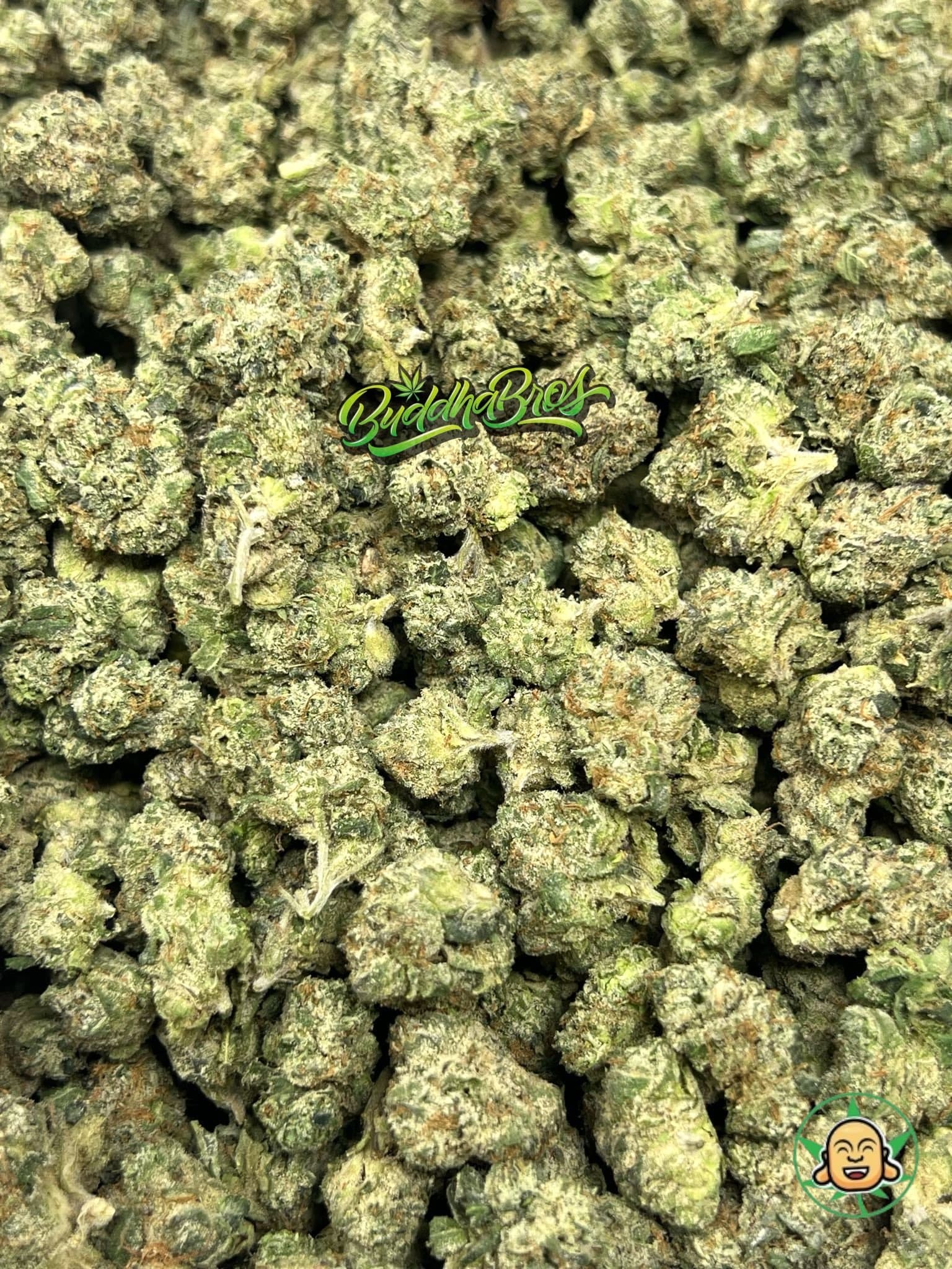 Lemon Cherry Gelato Smalls