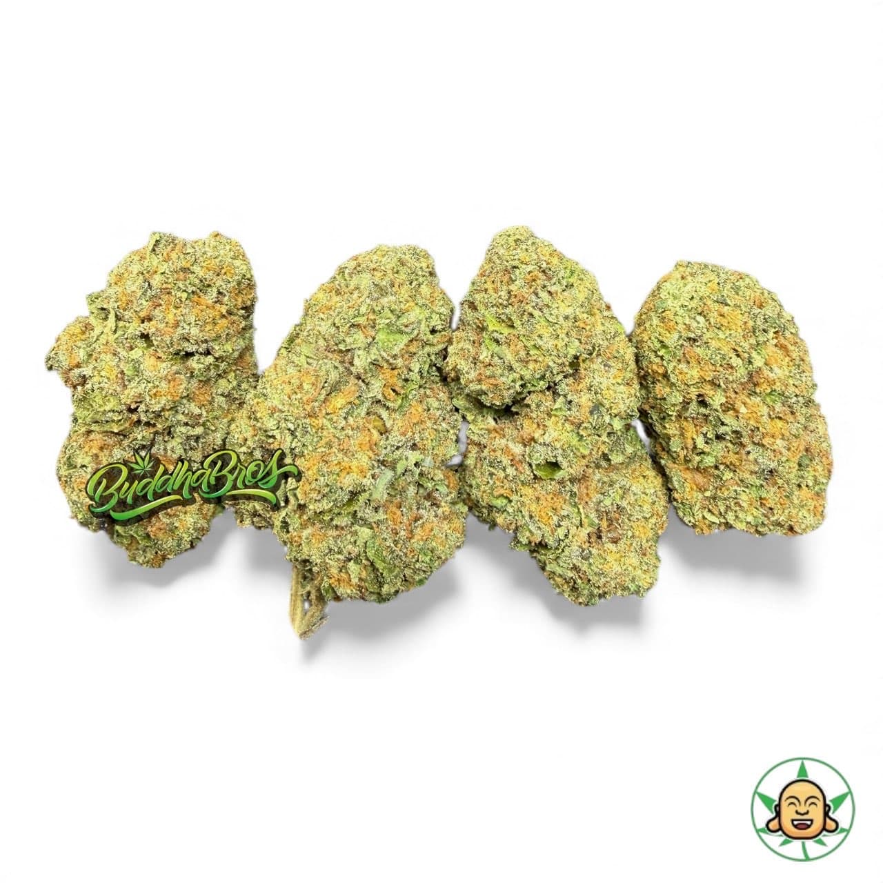 Gelato Pop