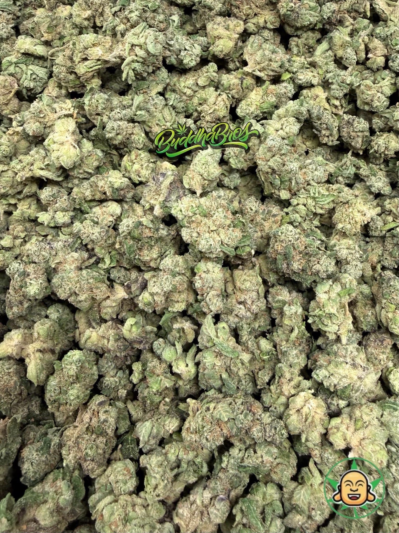 Sour Runtz Smalls