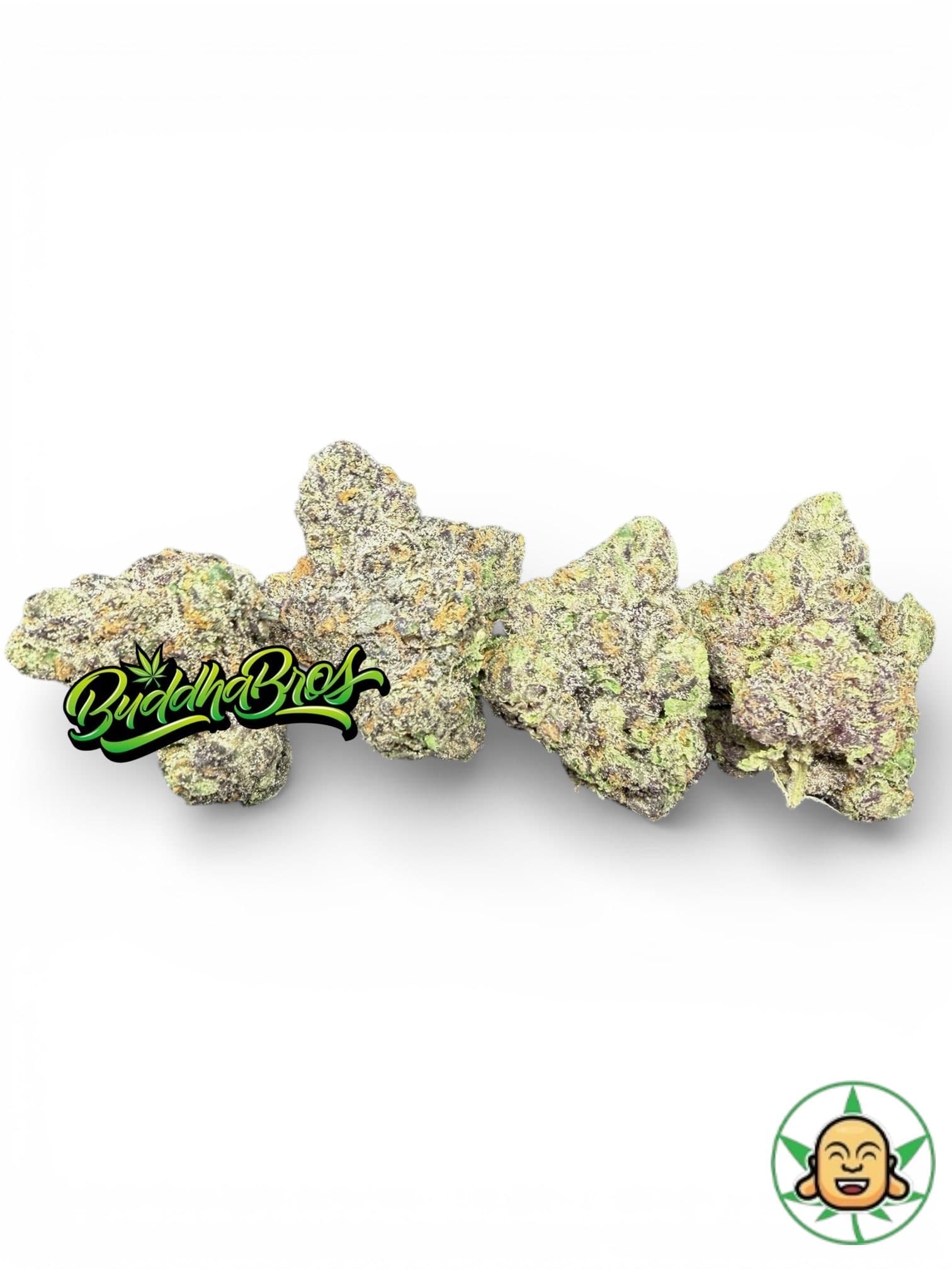Gelato x Gumbo 37