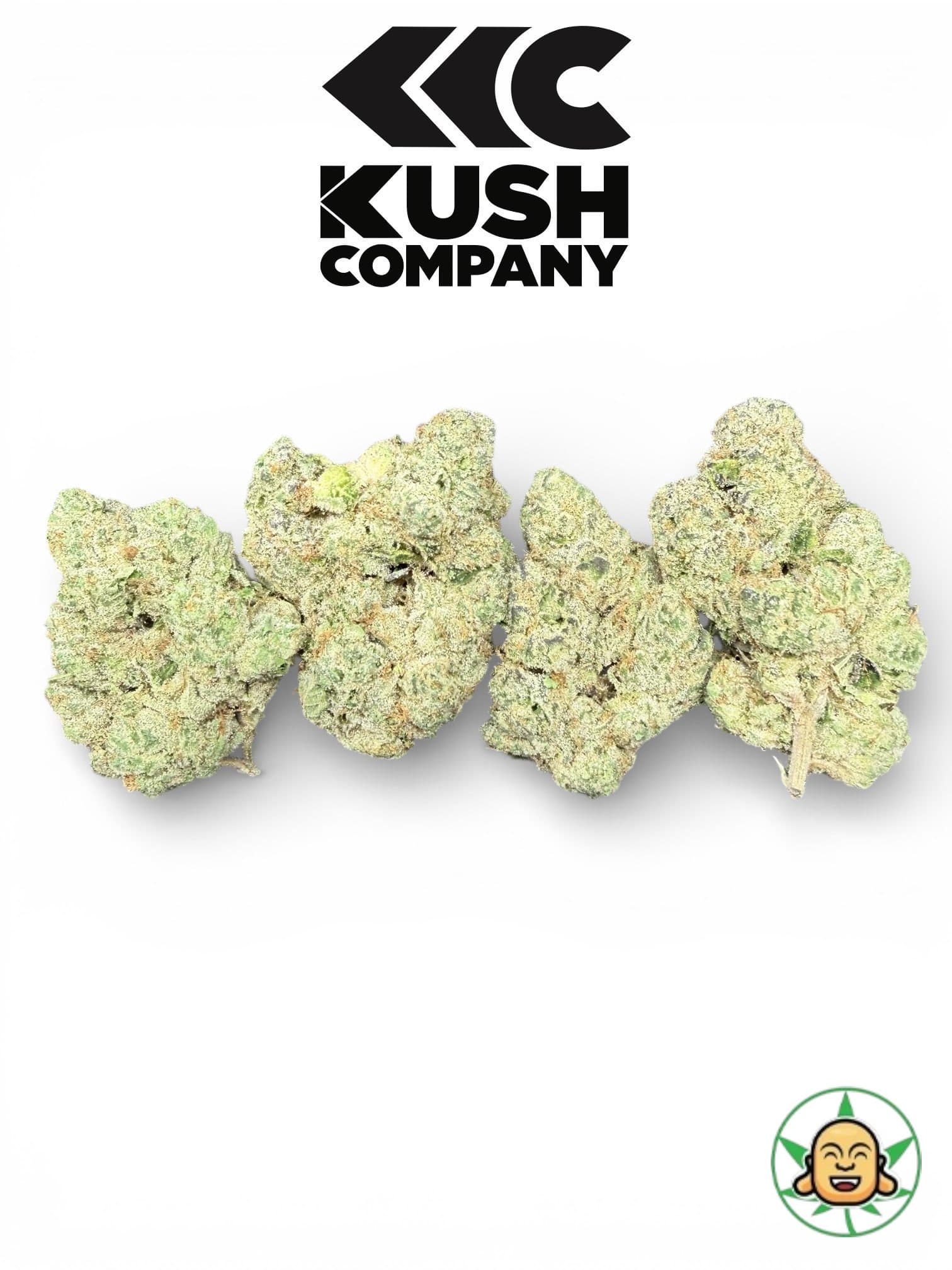 Turbo Sherb OG BY KushCo