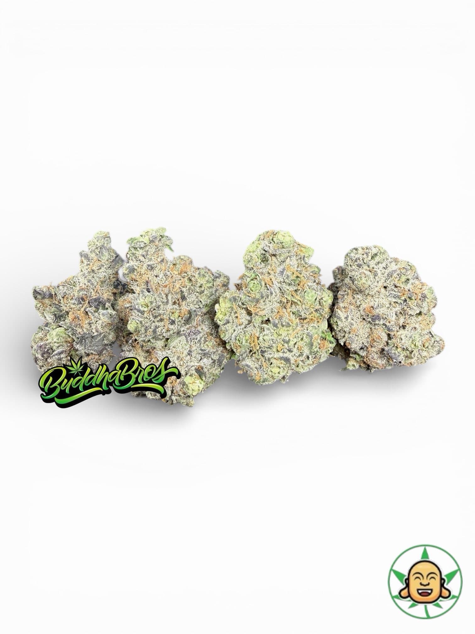 Gelato x Kushmintz
