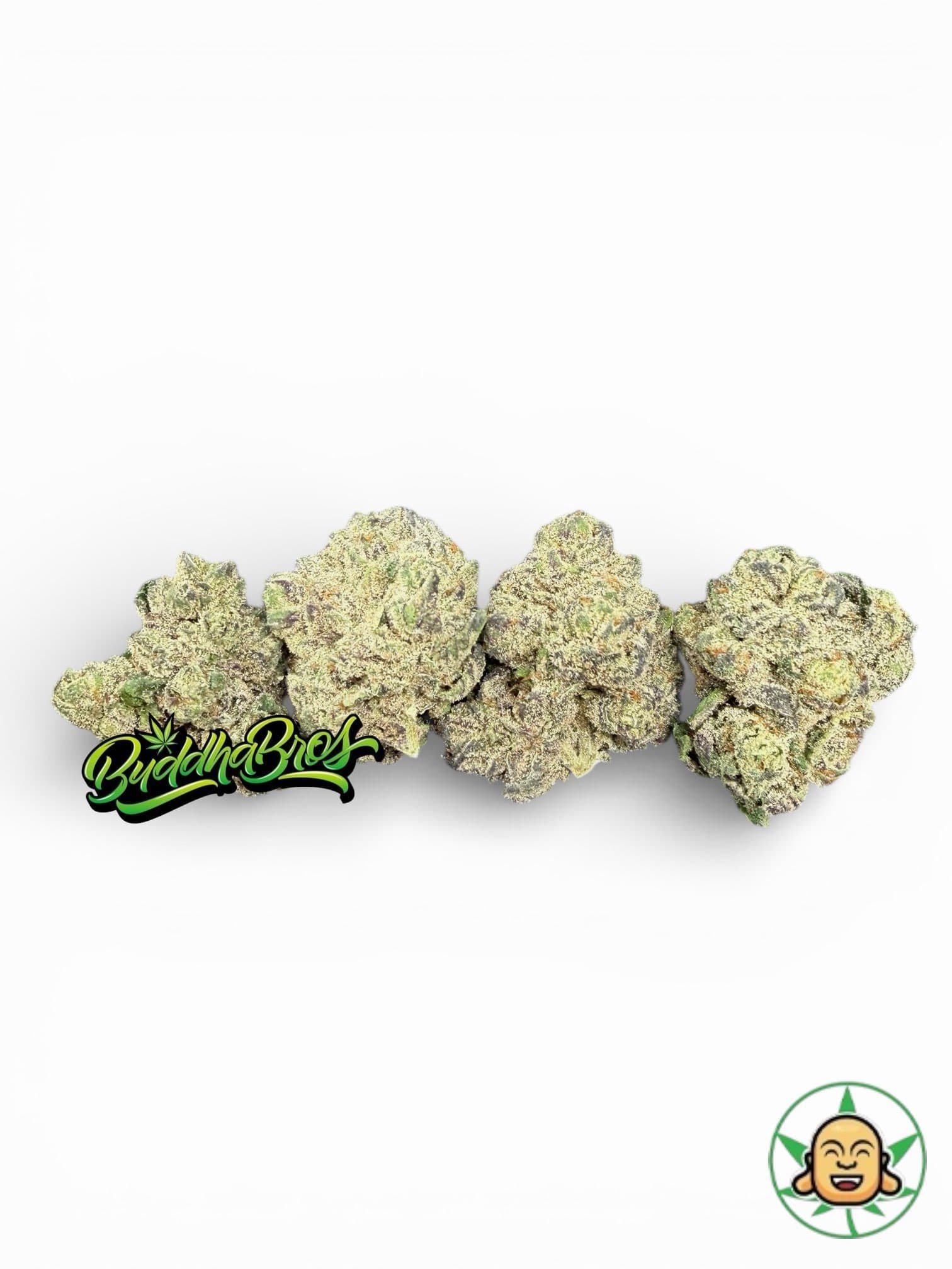 Jungle Cake