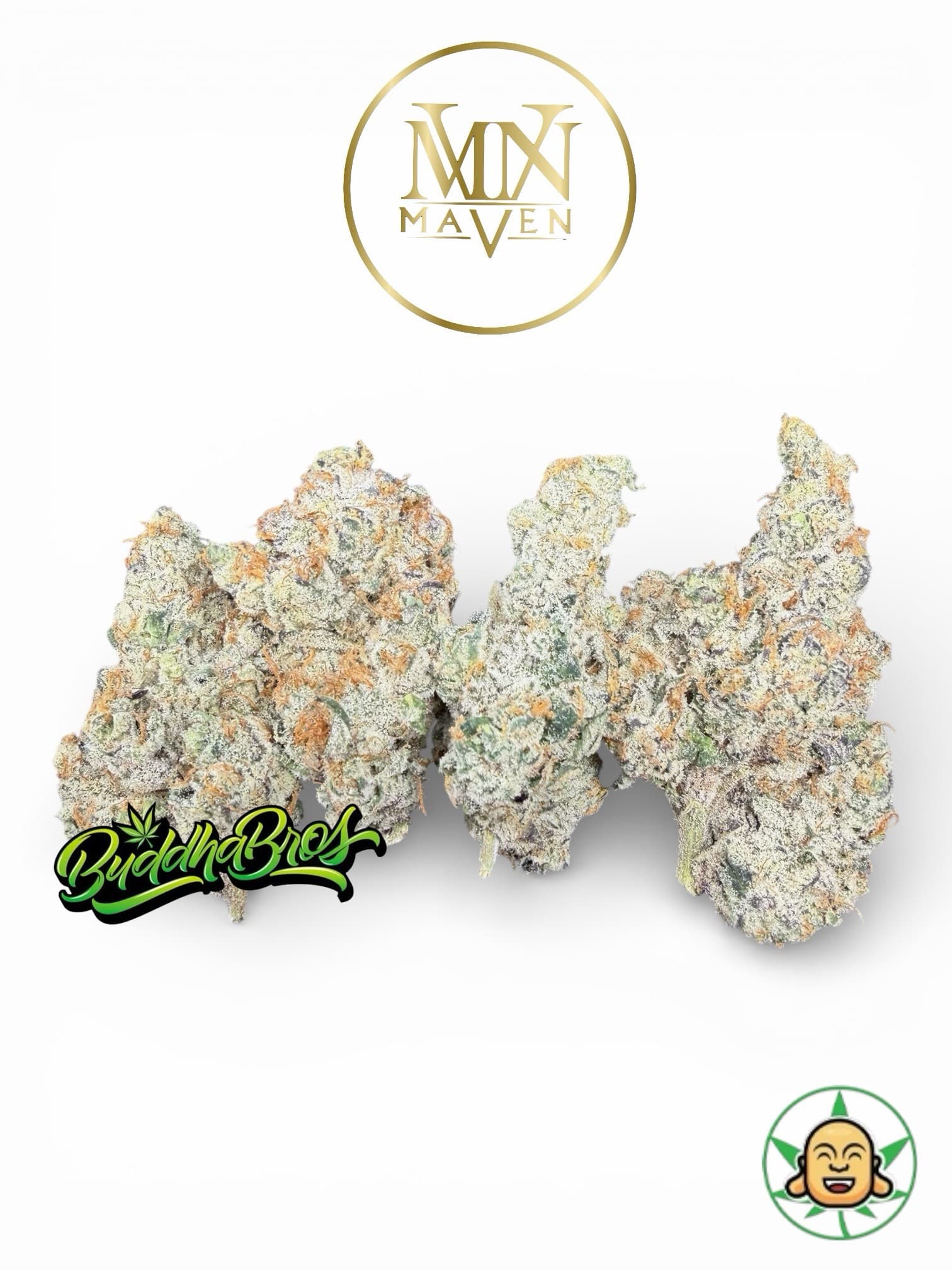 French Lotus By Maven Genetics