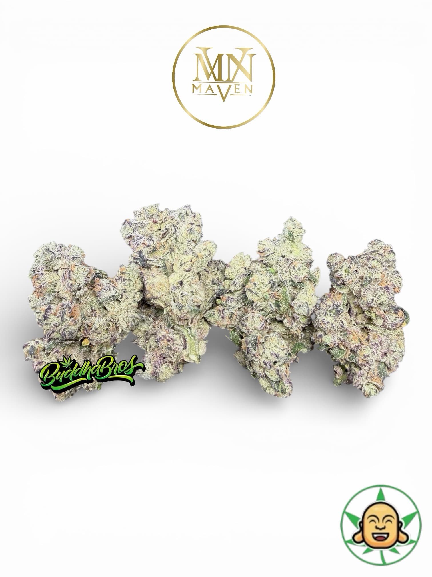 Madame Prizm By Maven Genetics