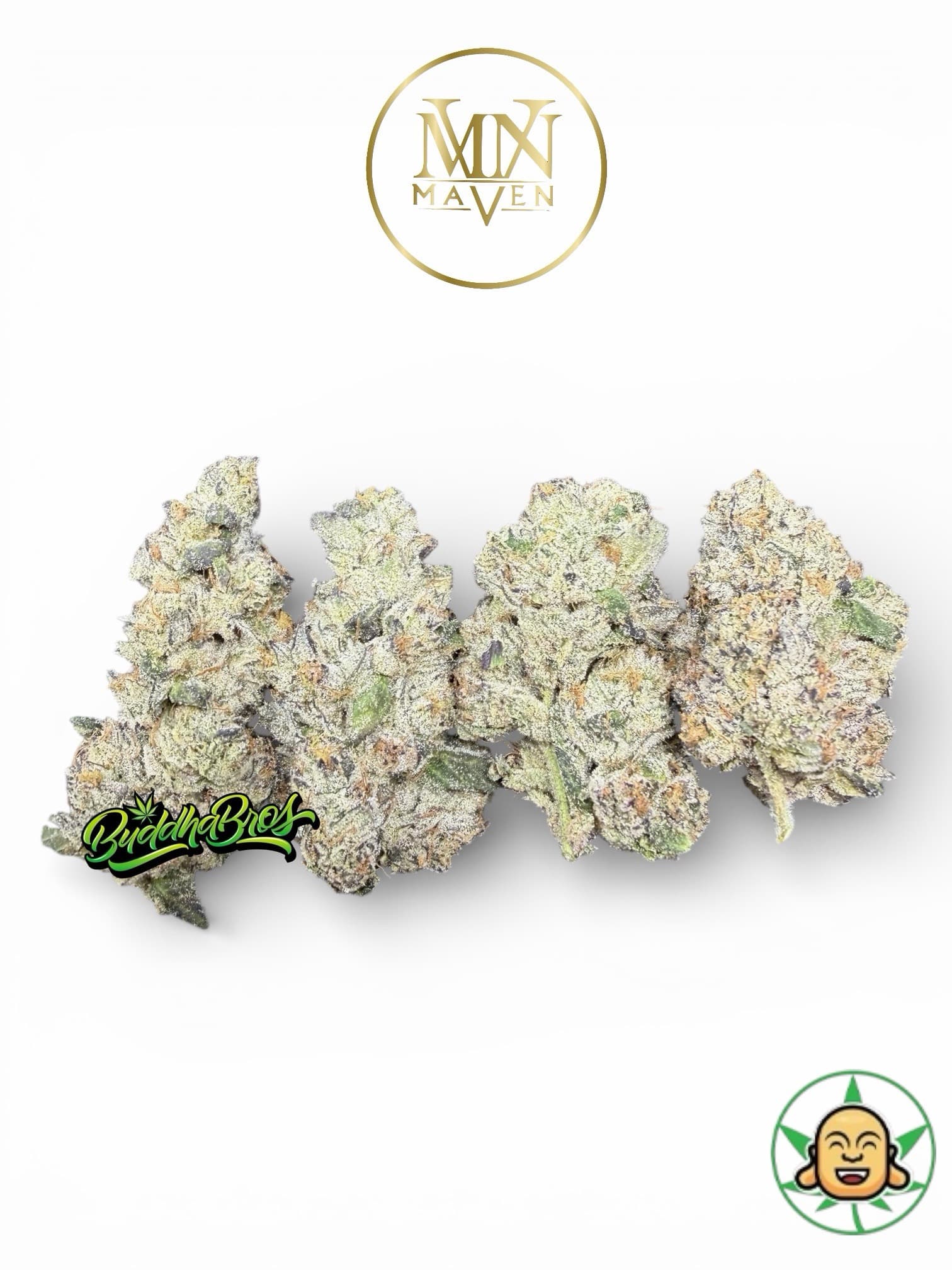 French Prizm By Maven Genetics
