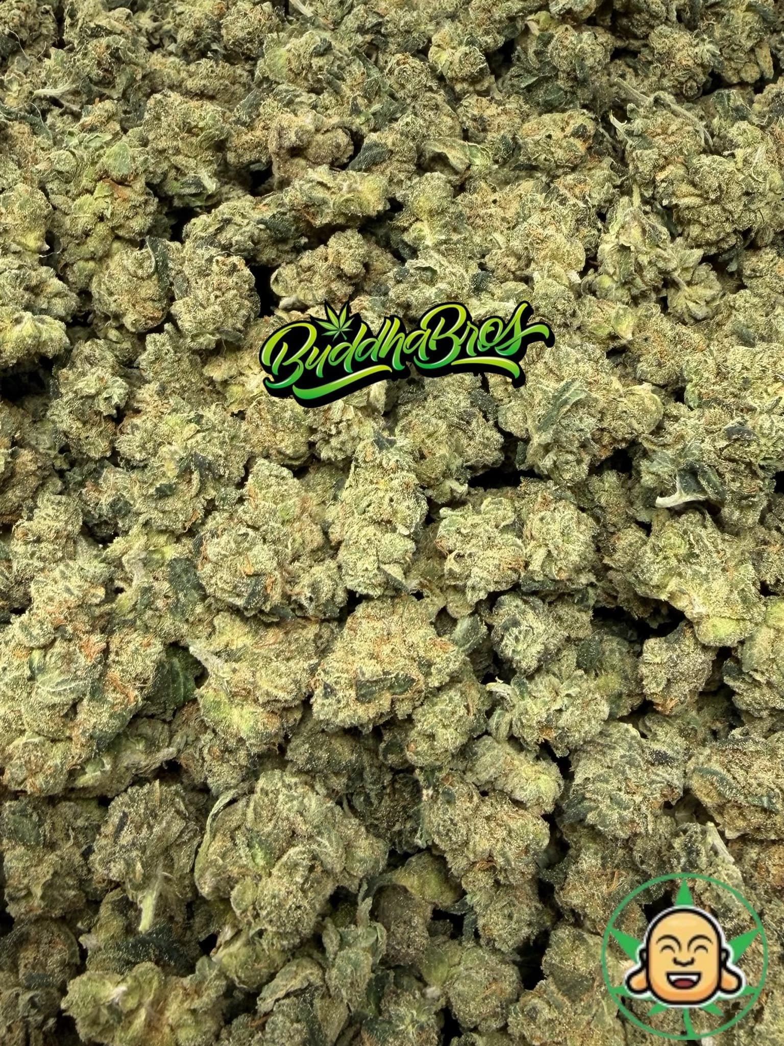 Chem 95 Smalls