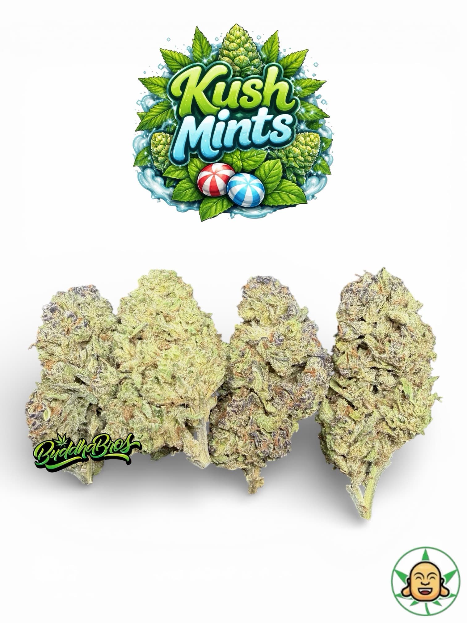 KushMints