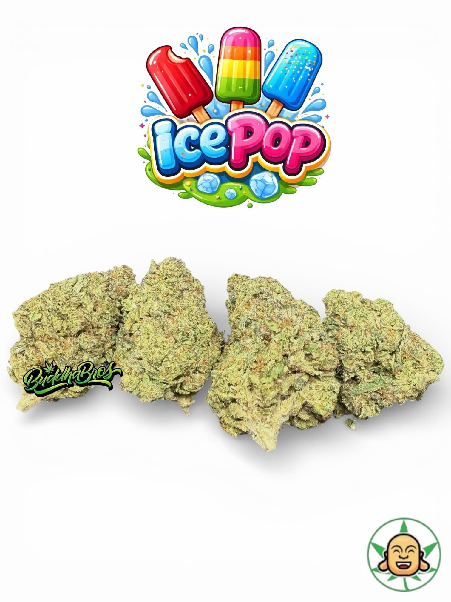 Ice Pop