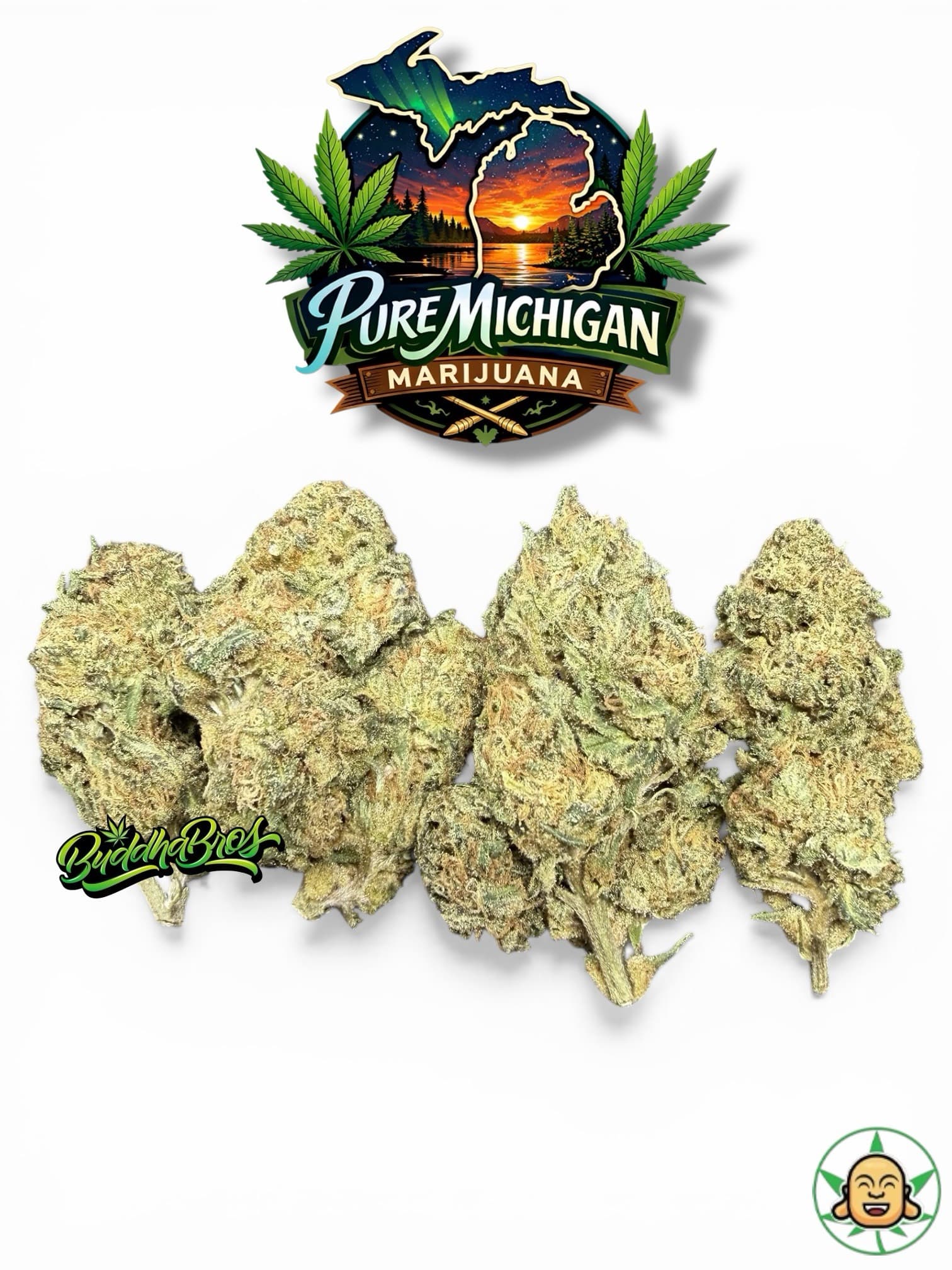 Pure Michigan