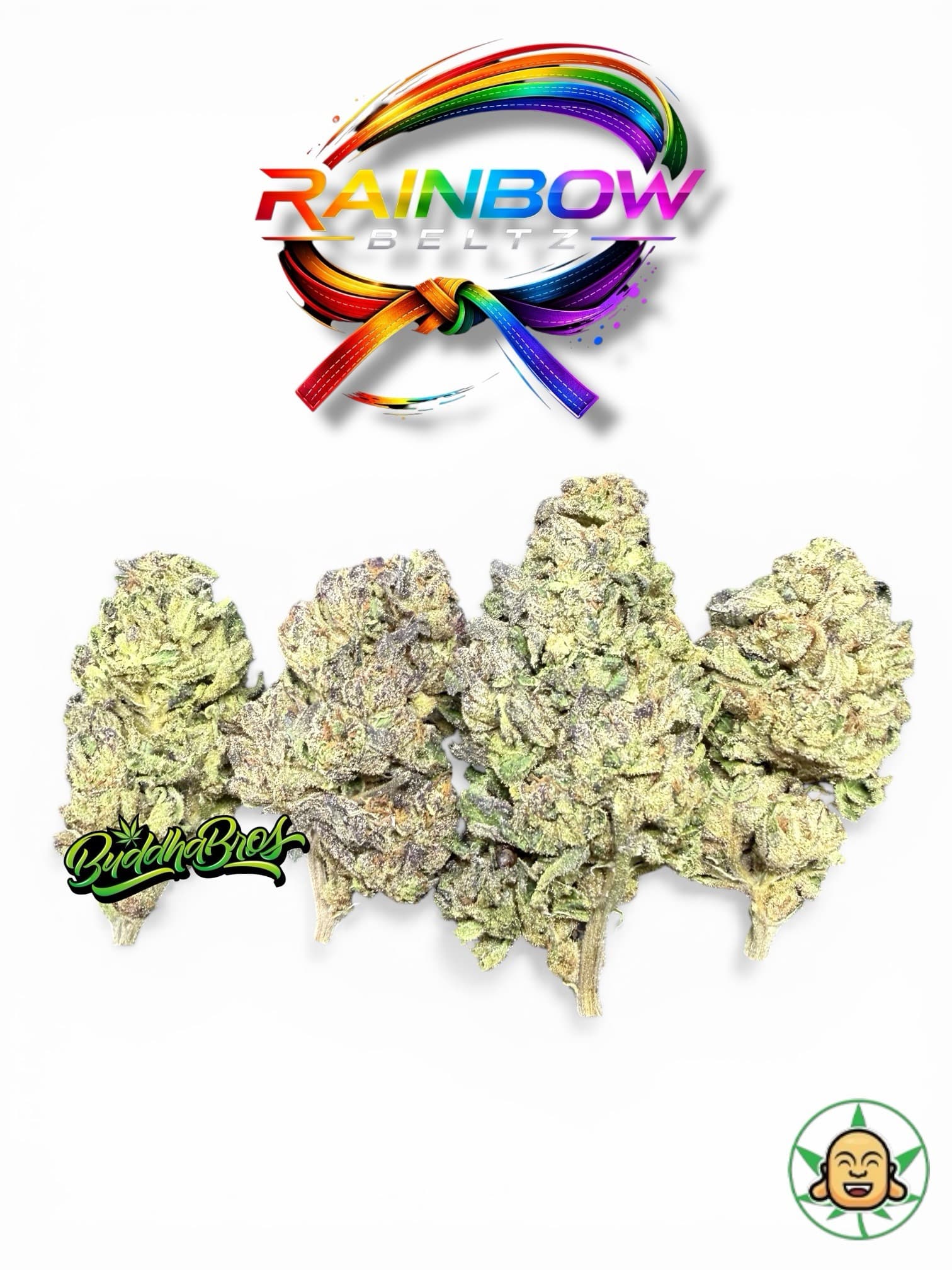 Rainbow Beltz