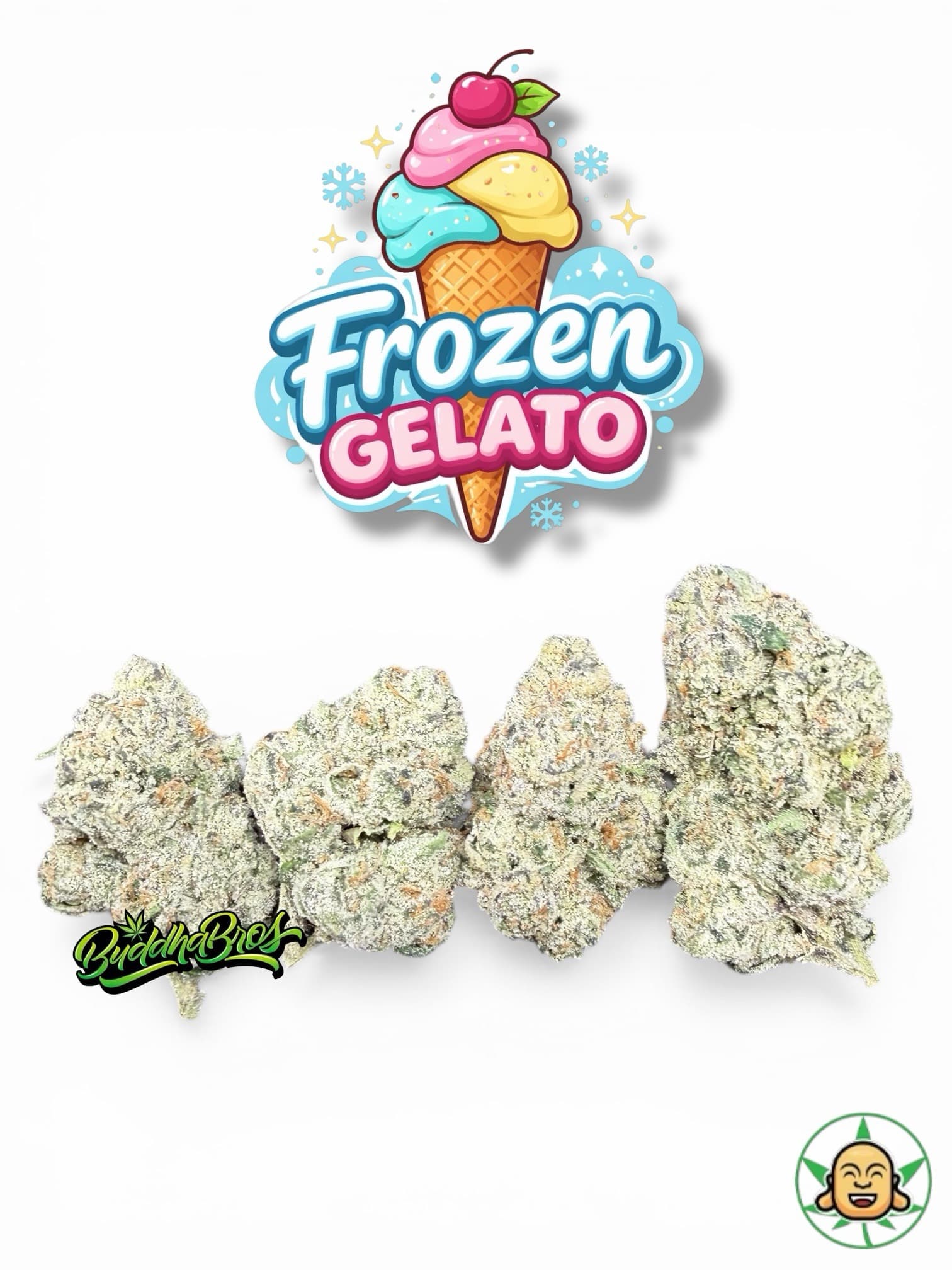 Frozen Gelato
