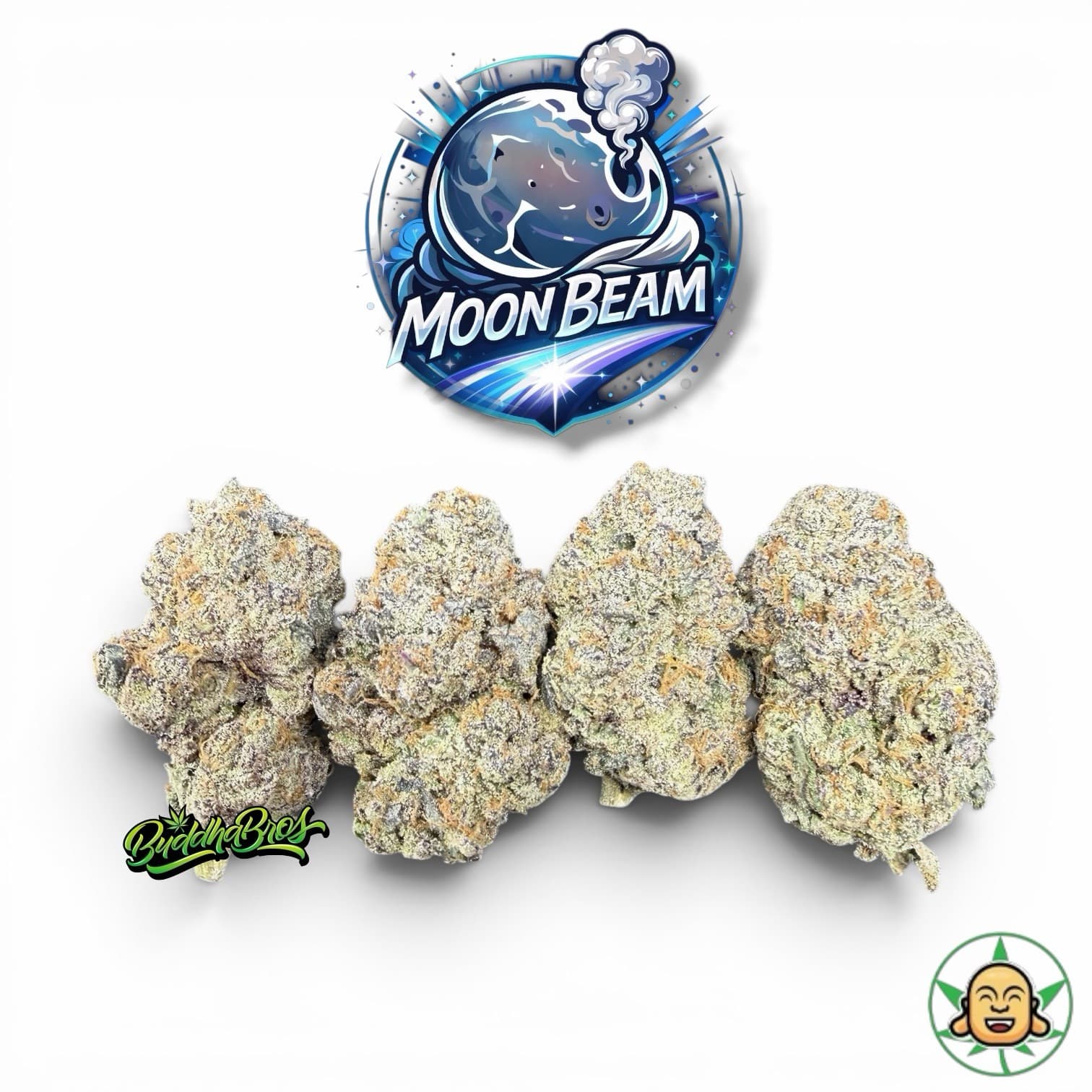 Moonbeam