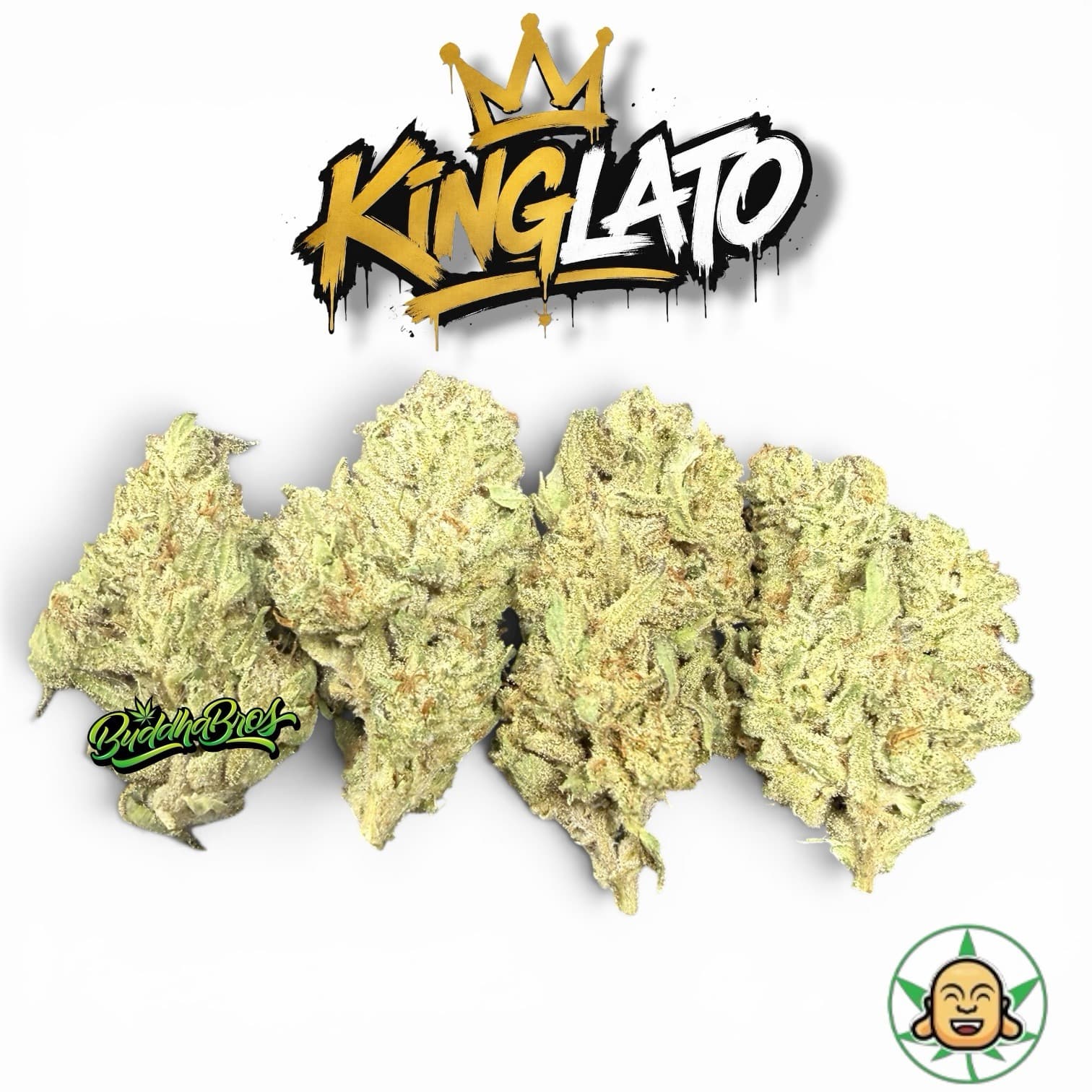 Kinglato
