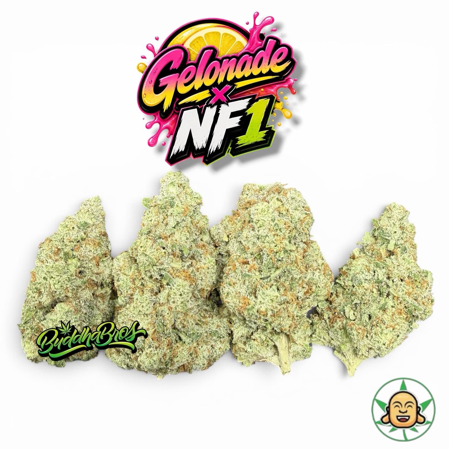 Gelonade X NF1