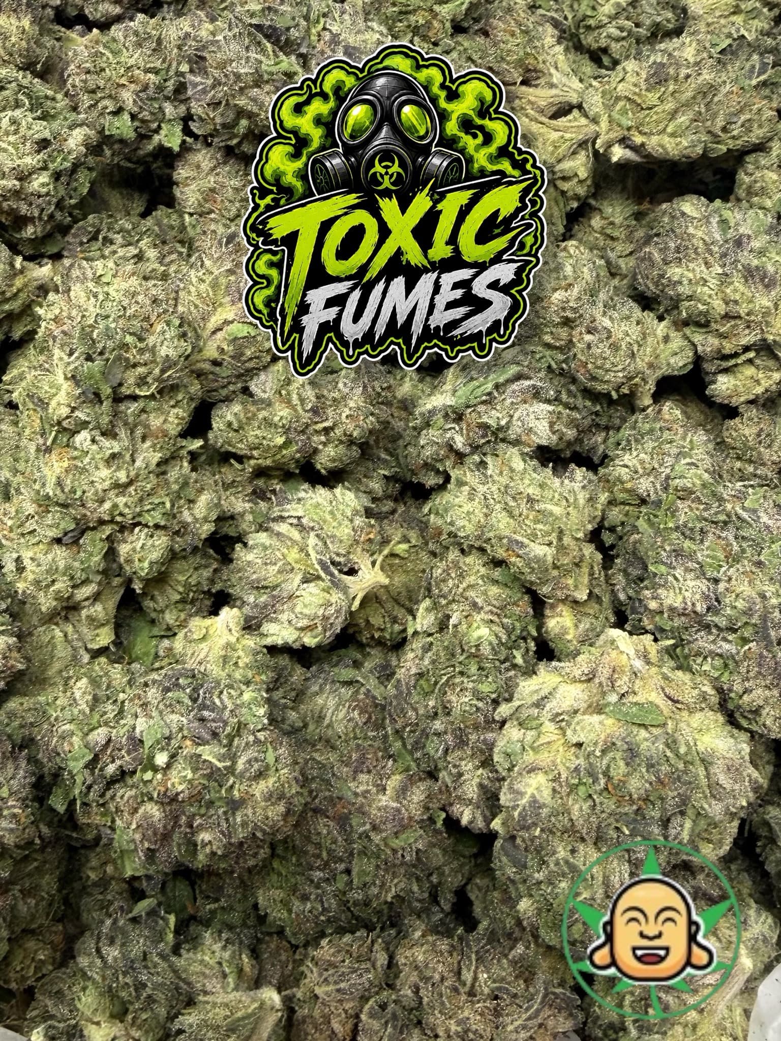 Toxic Fumes