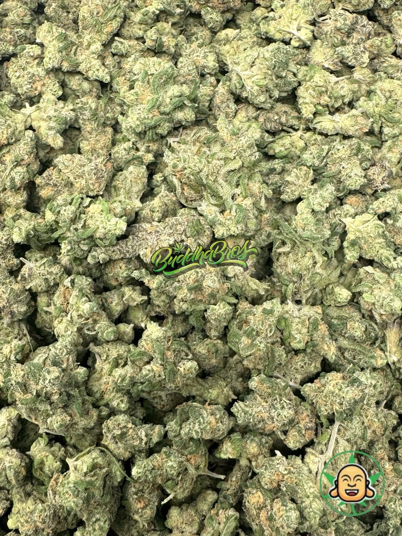 Blue Dream Mediums