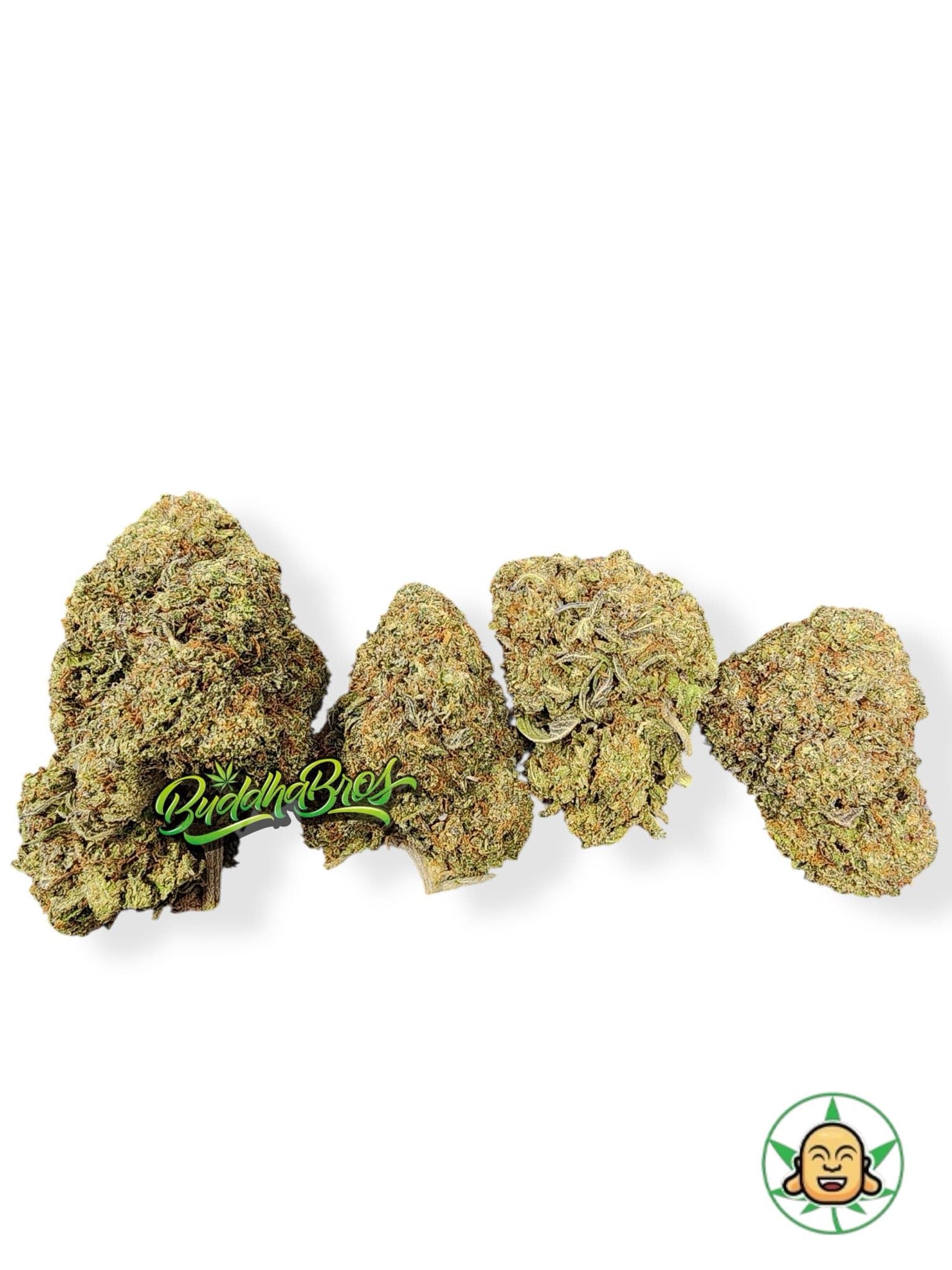 Gelato Mintz