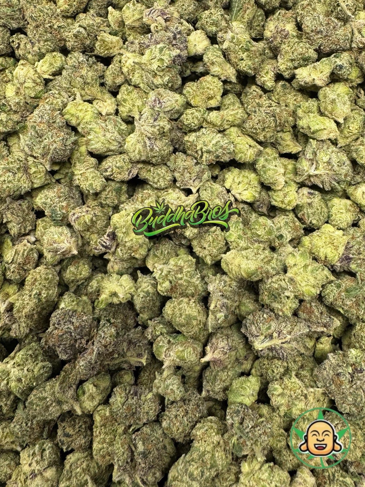 Grape Gelato Smalls
