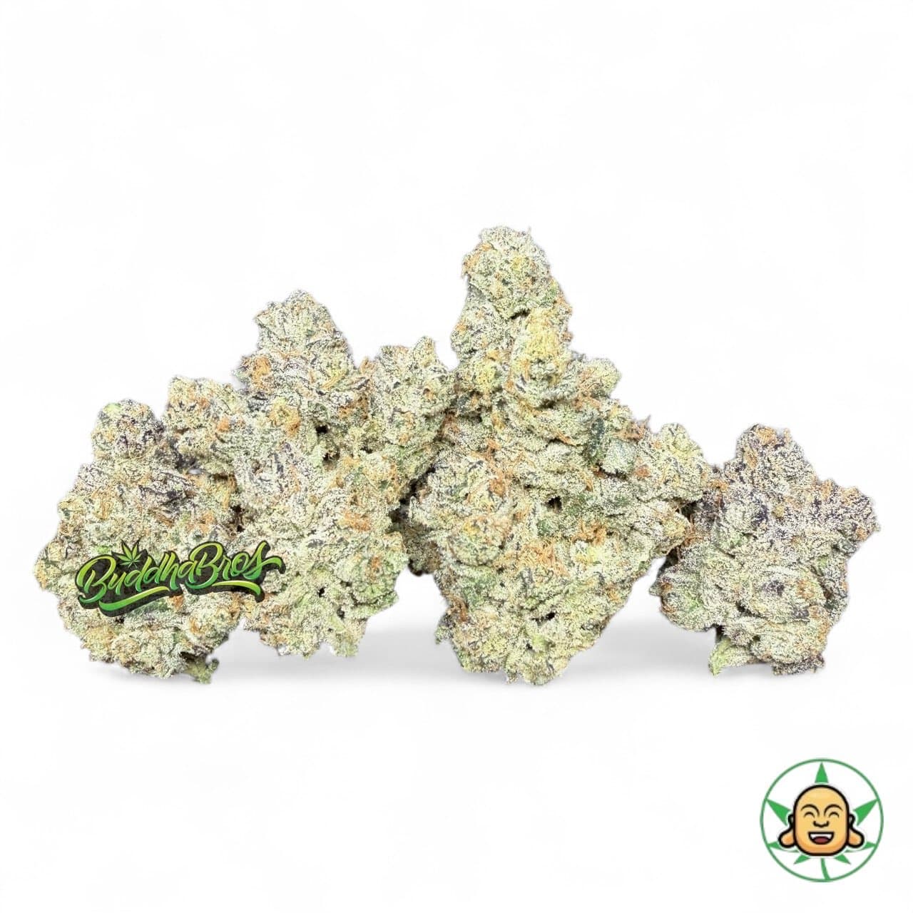 LA Pop Rocks