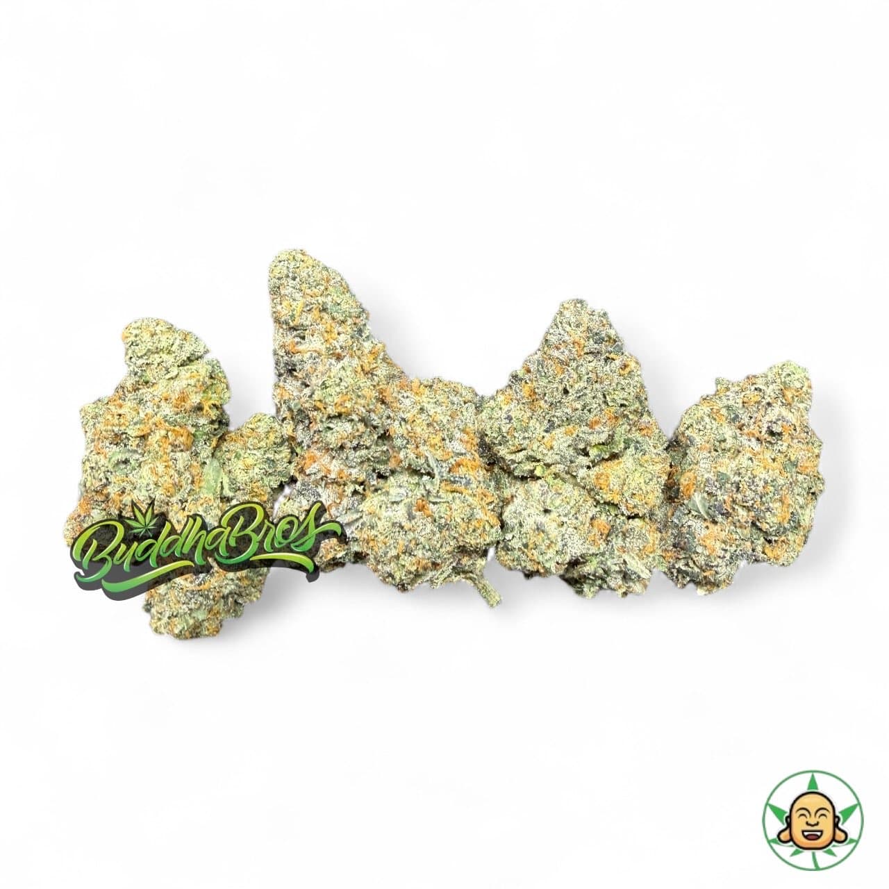 Gelato 45