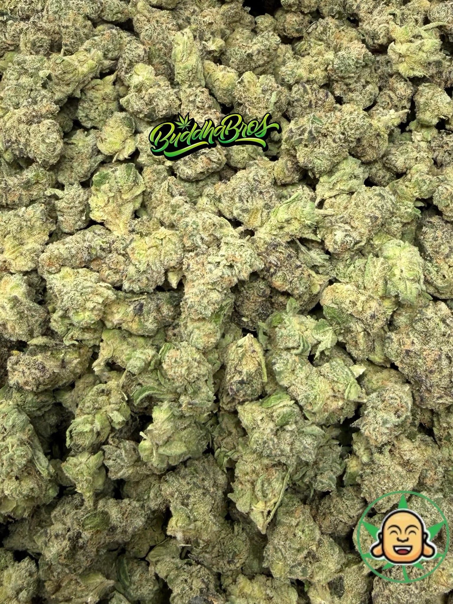 Blueberry Gelato Mediums