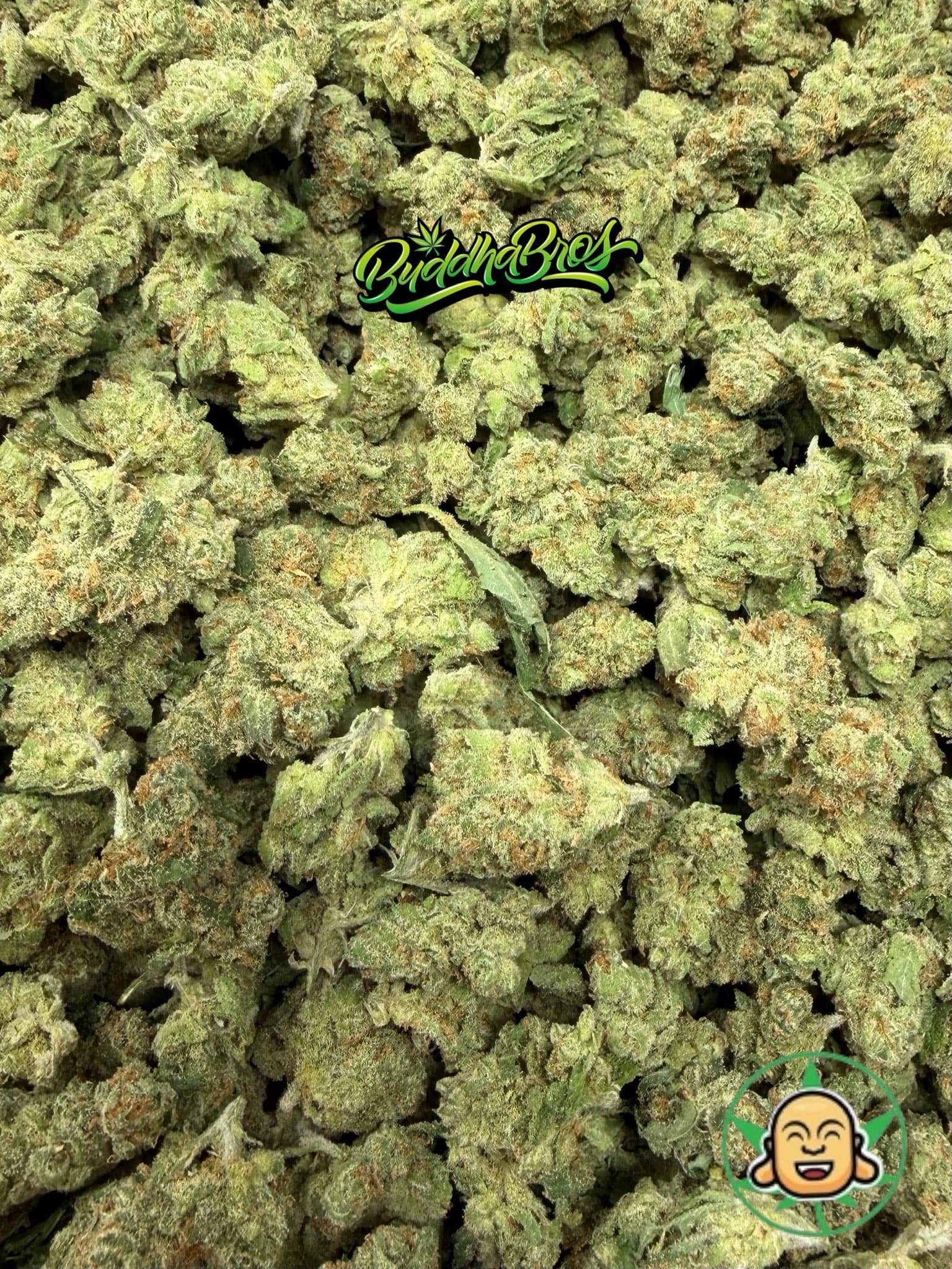 Super Lemon Haze Smalls