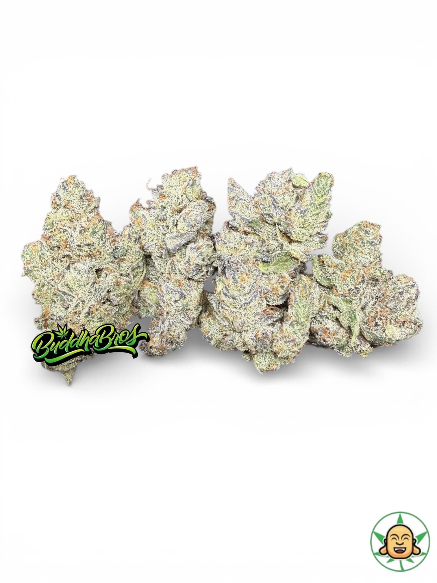 Zordon Breath