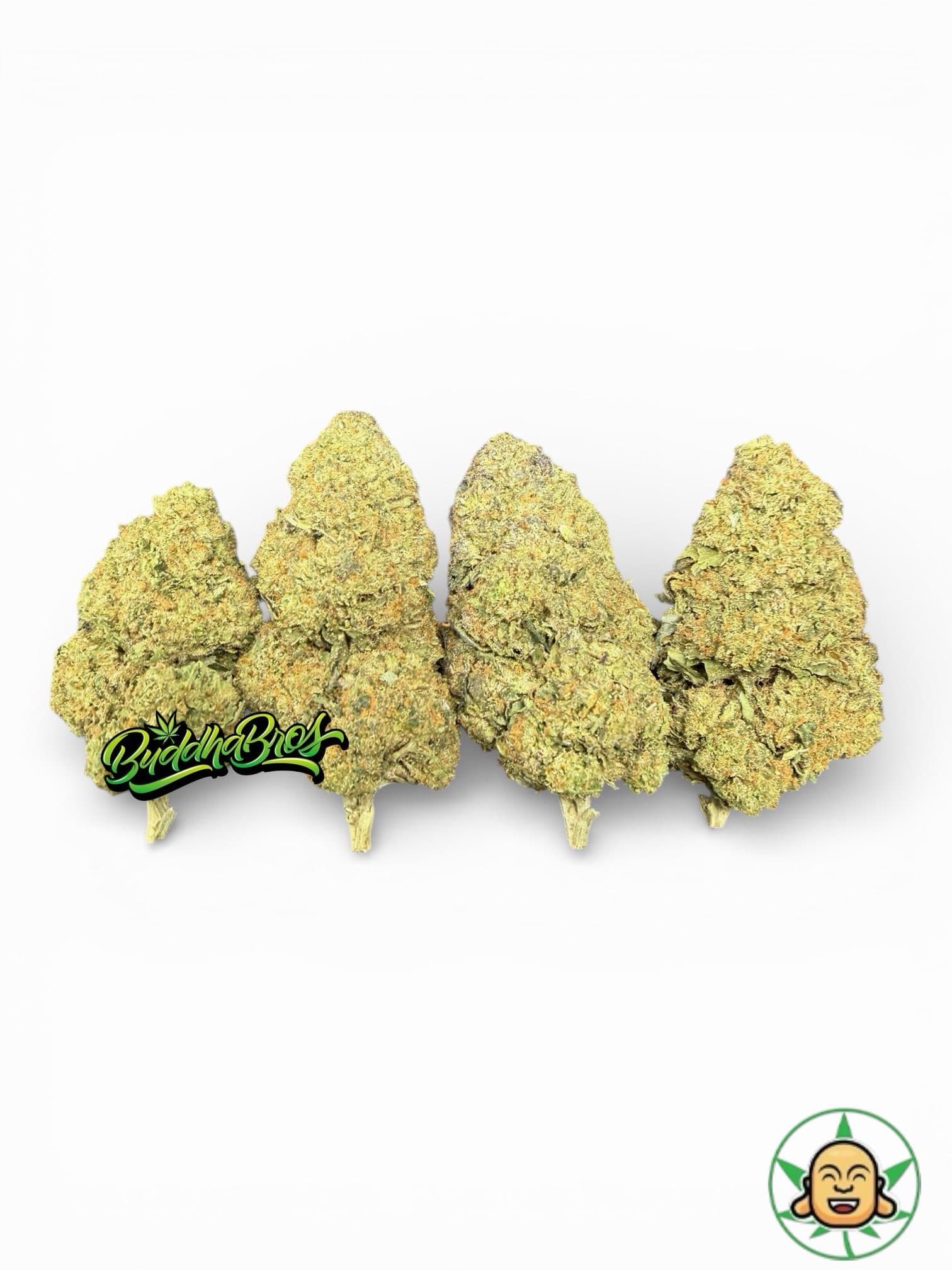 Gelato 41