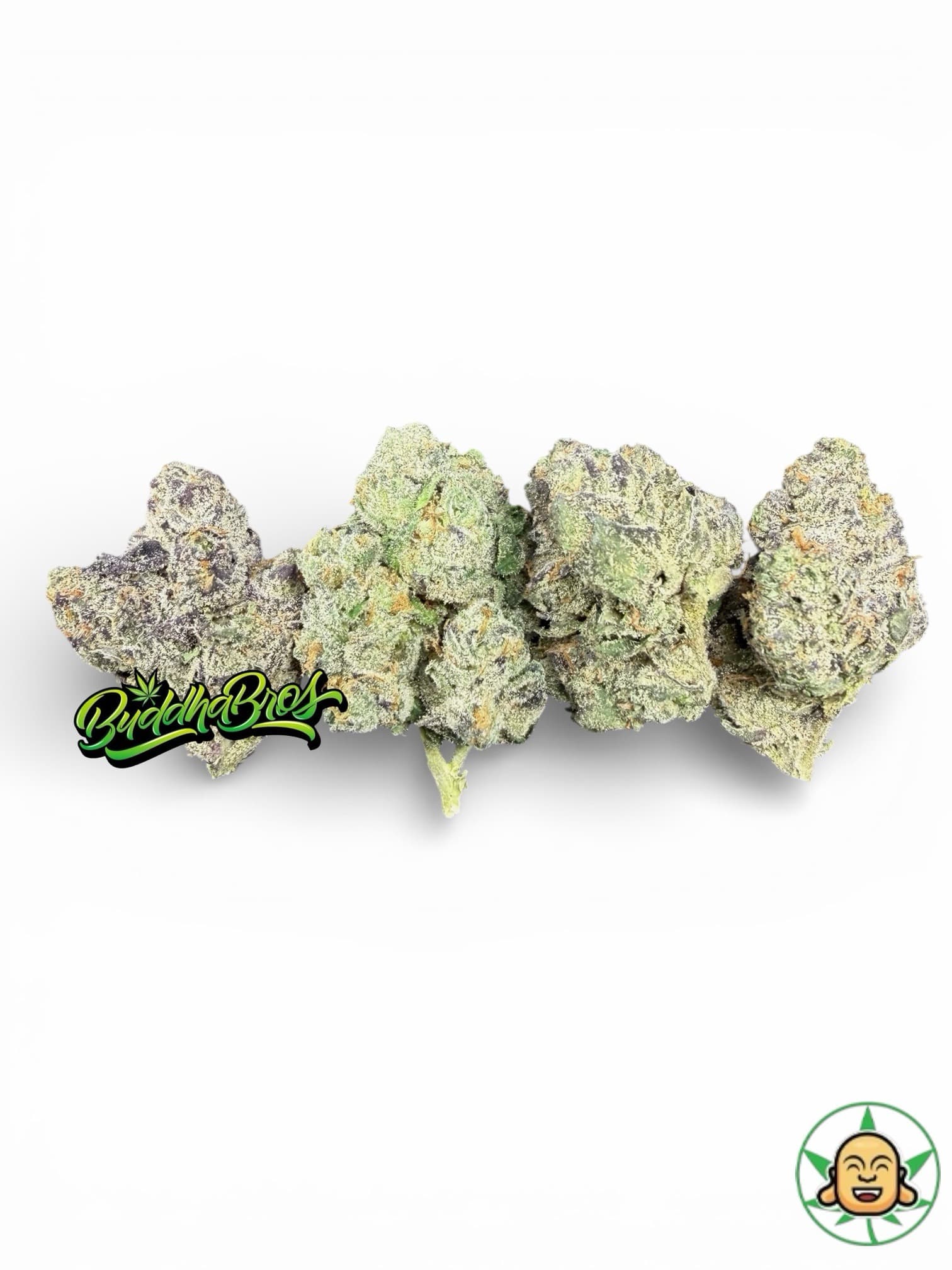 Truffle Popz