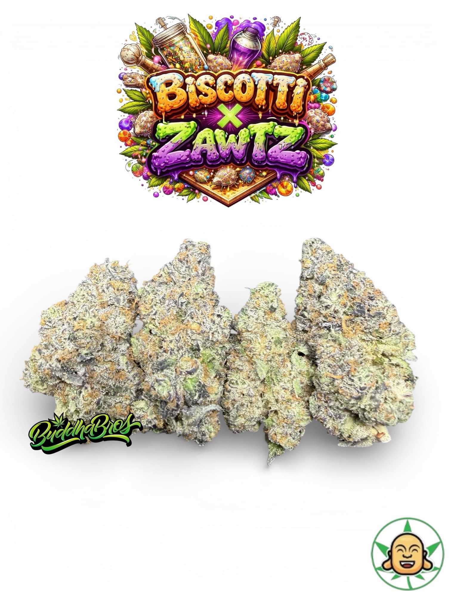 Biscotti x Zawtz