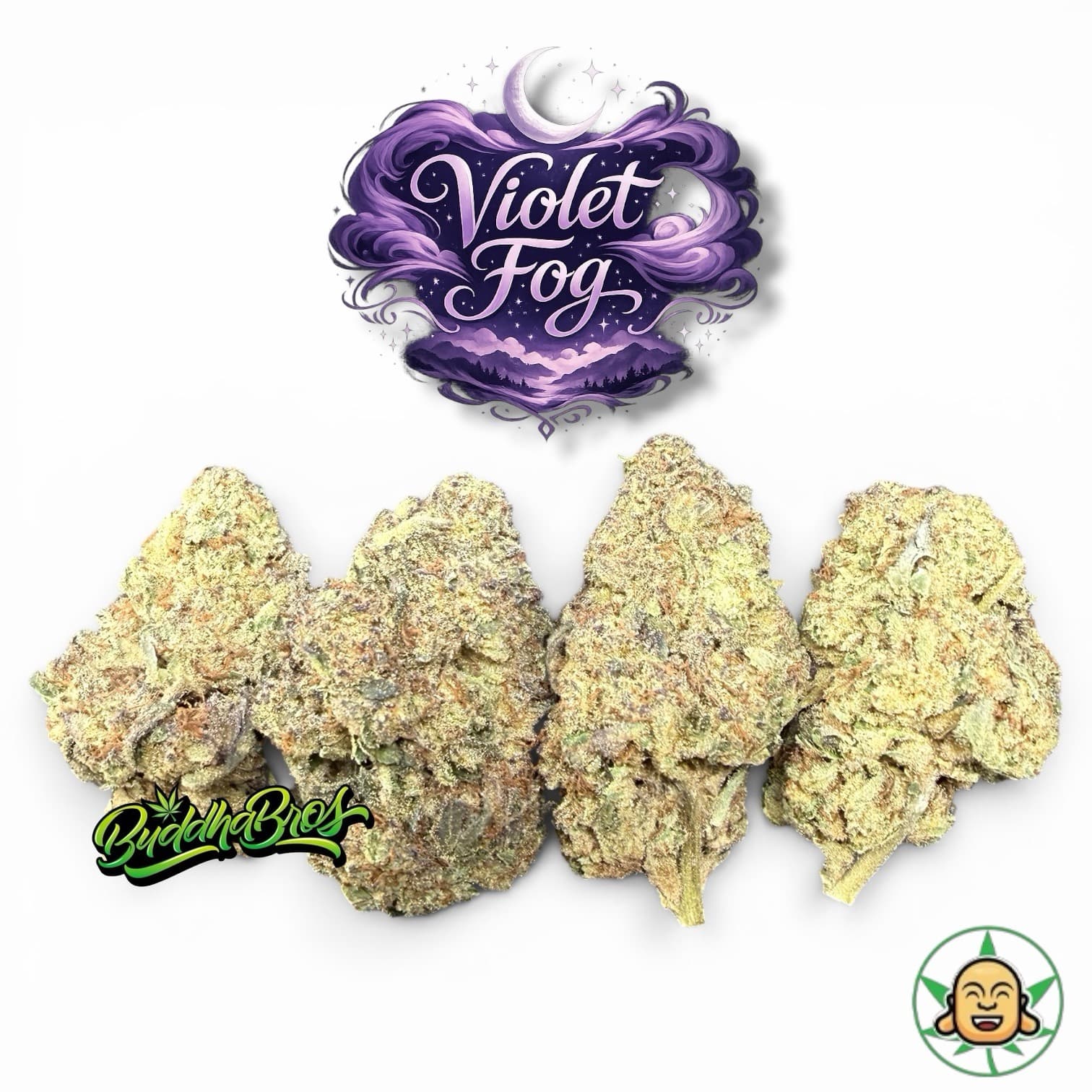 Violet Fog