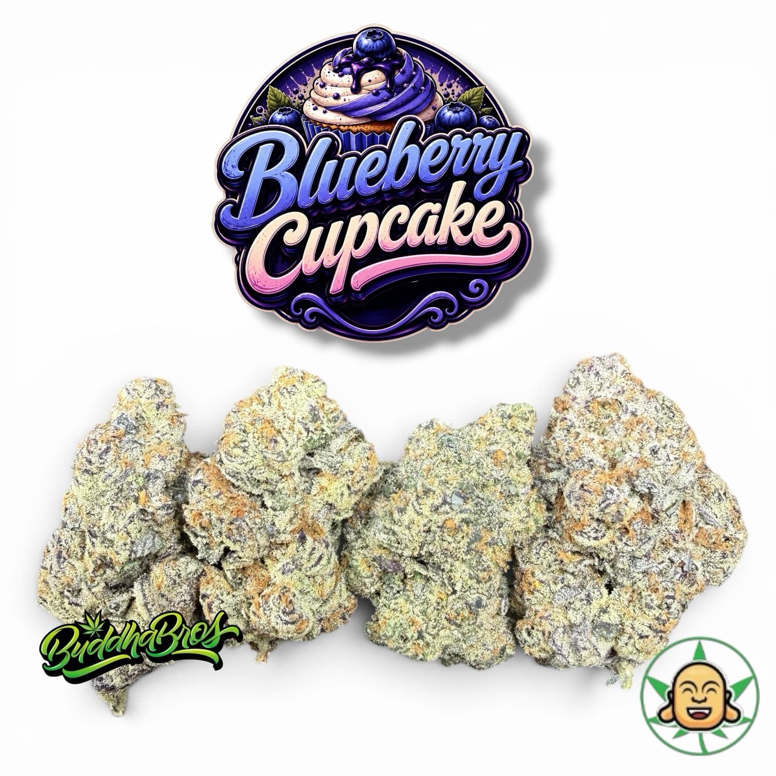 Blueberry Cupcake