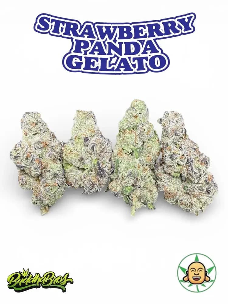 Strawberry Panda Gelato by BuddhaBrosL