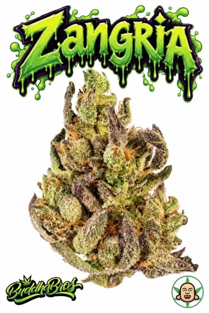 Zangria Strain by BuddhaBrosL