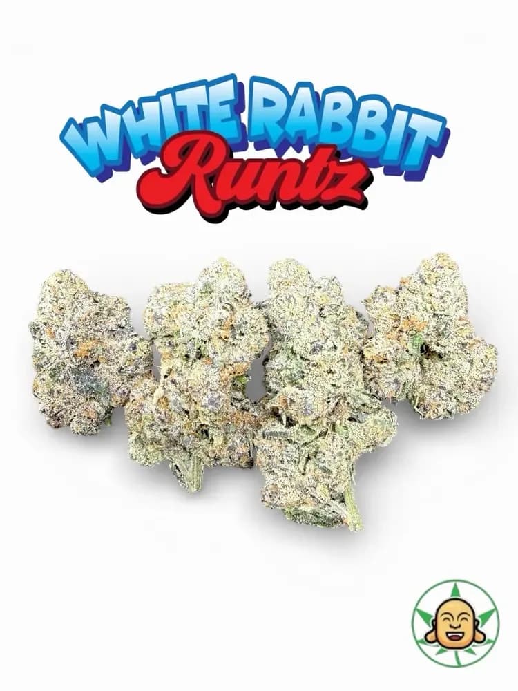 White Rabbit Runtz by BuddhaBrosL